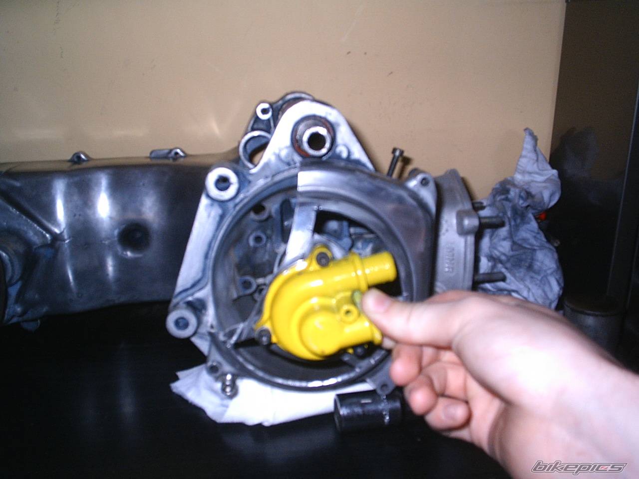 Photo 258816