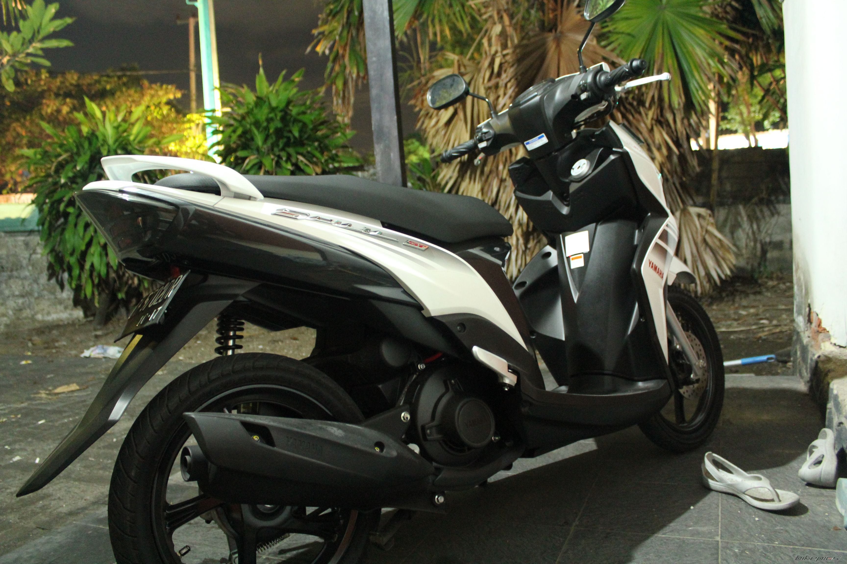 Photo 2588160