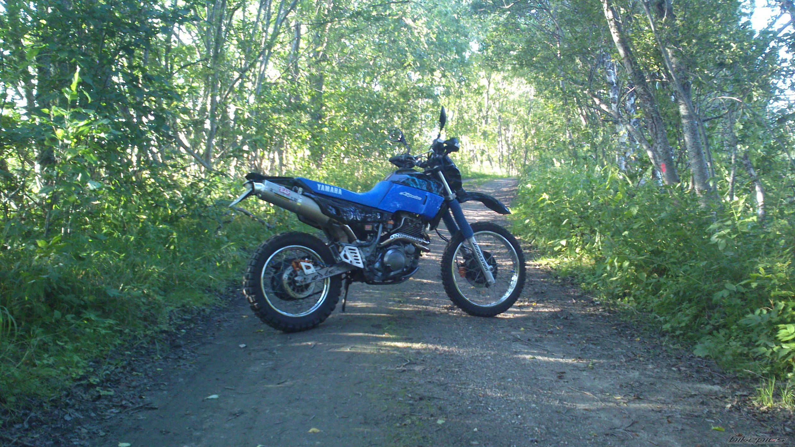 Photo 2588227