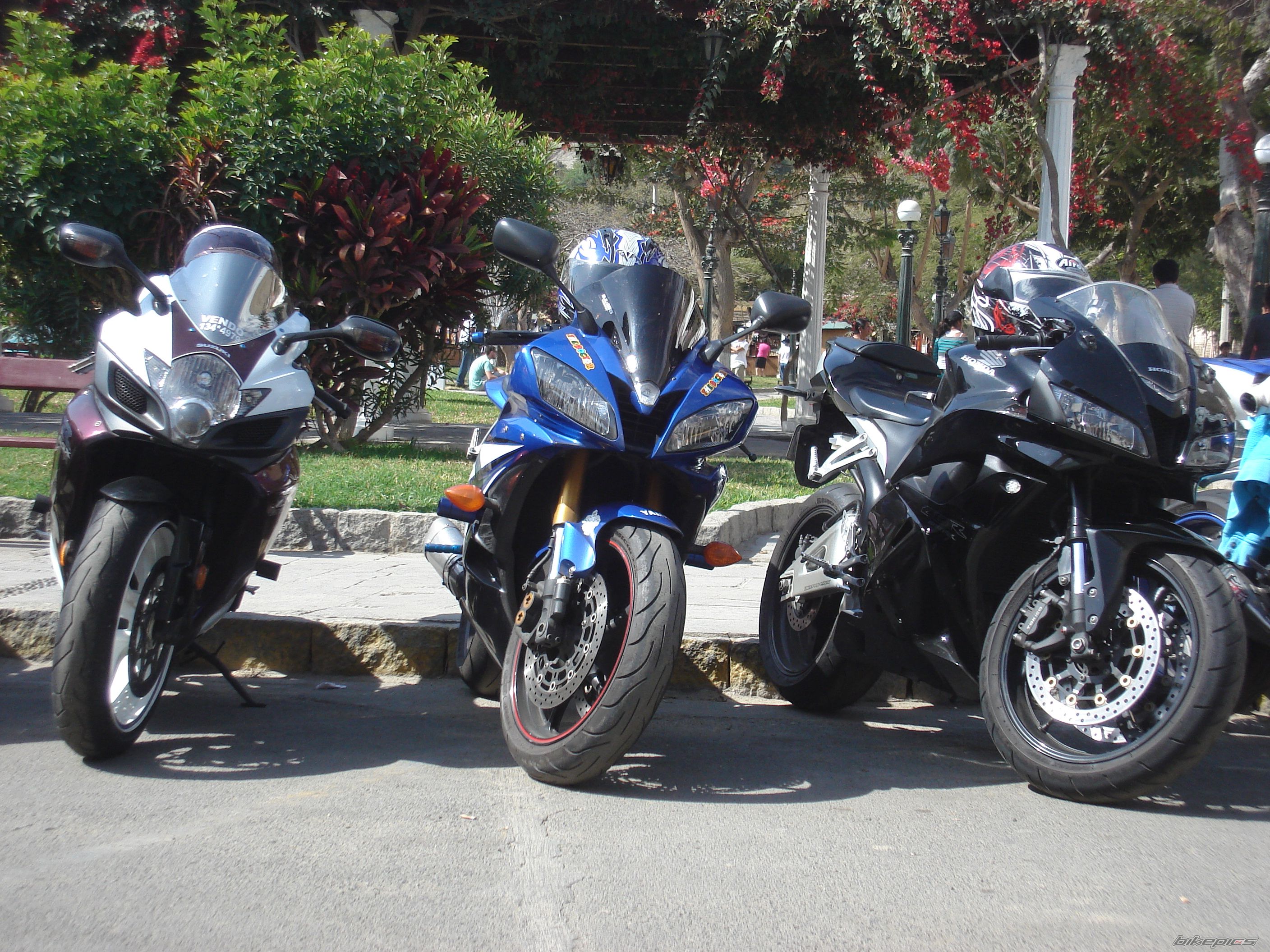 Photo 2588246