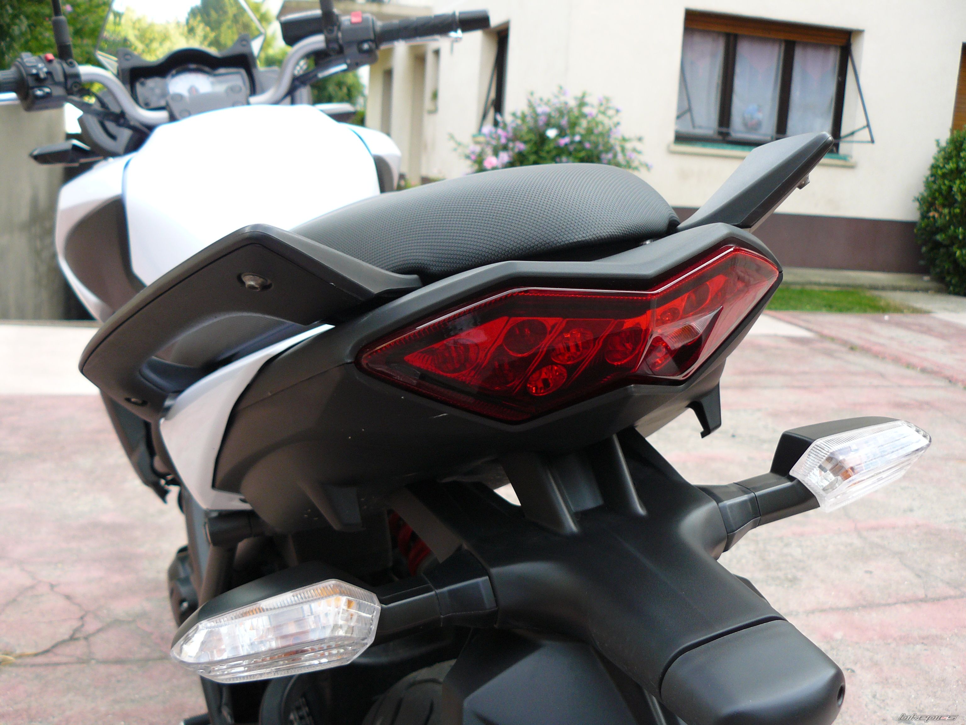 Photo 2588249