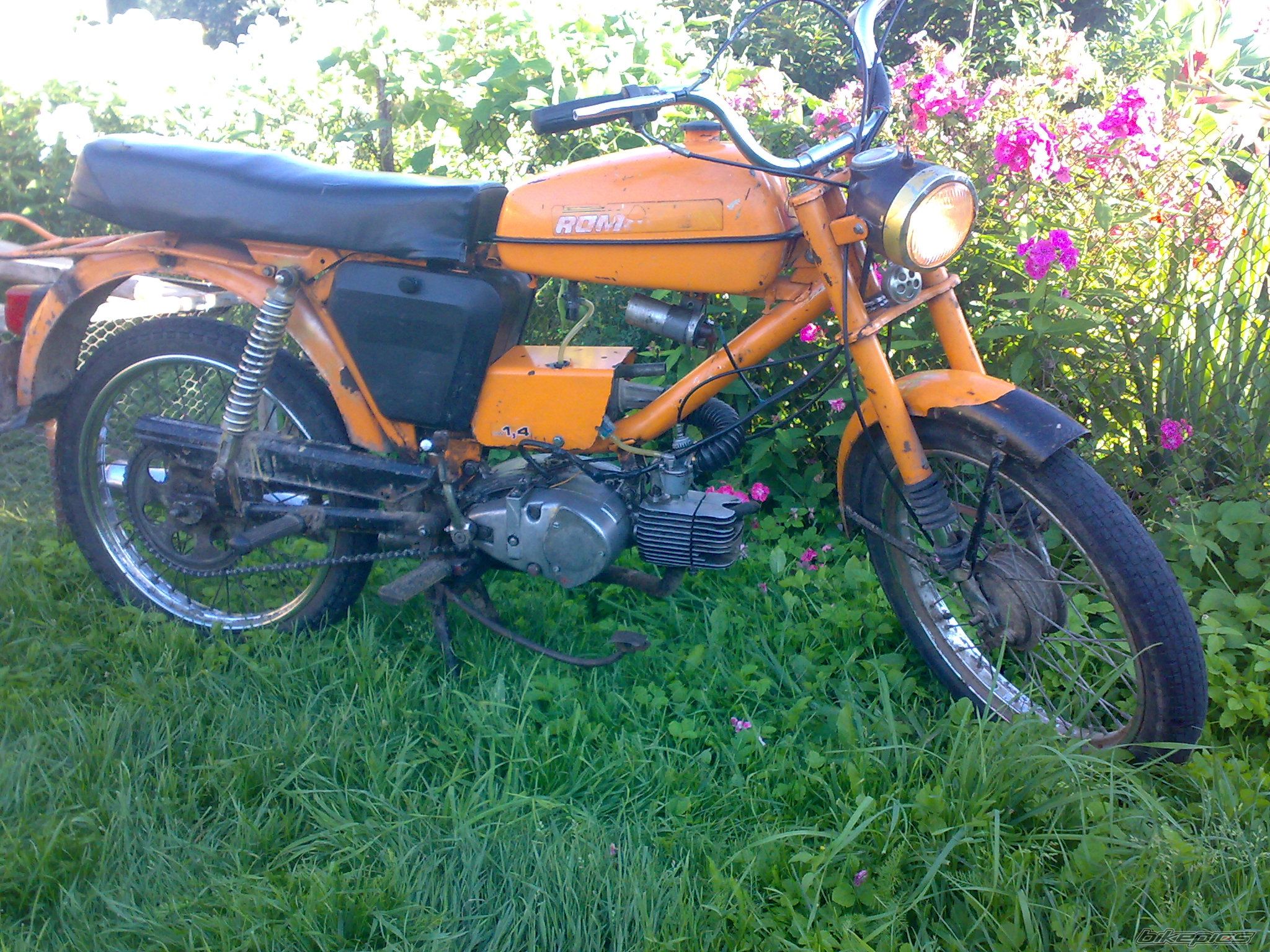 Photo 2588292