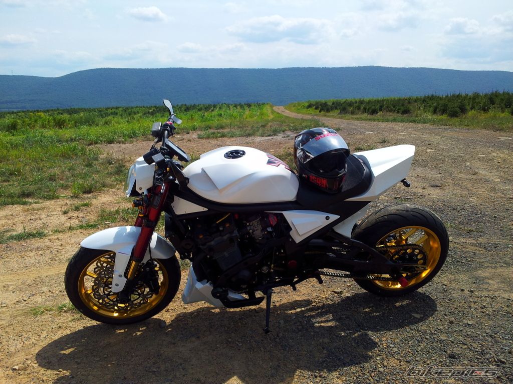 Photo 2588318