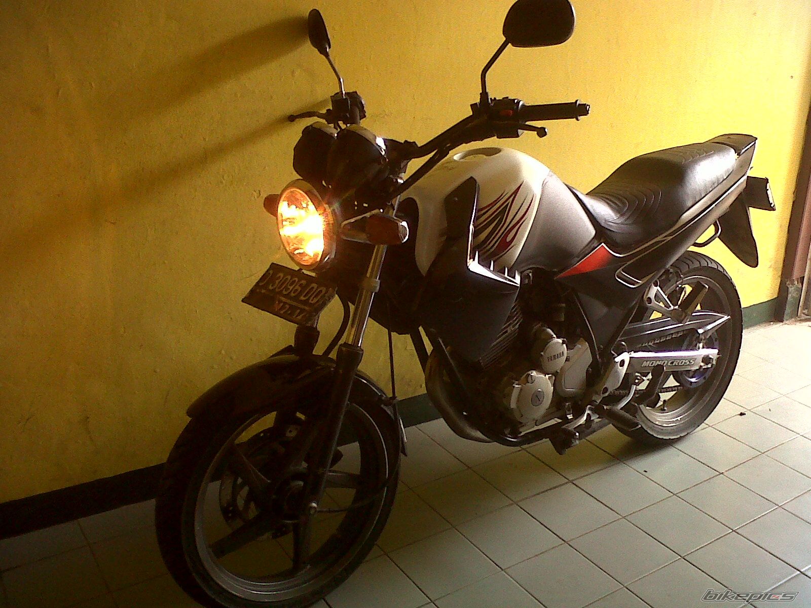 Photo 2588355