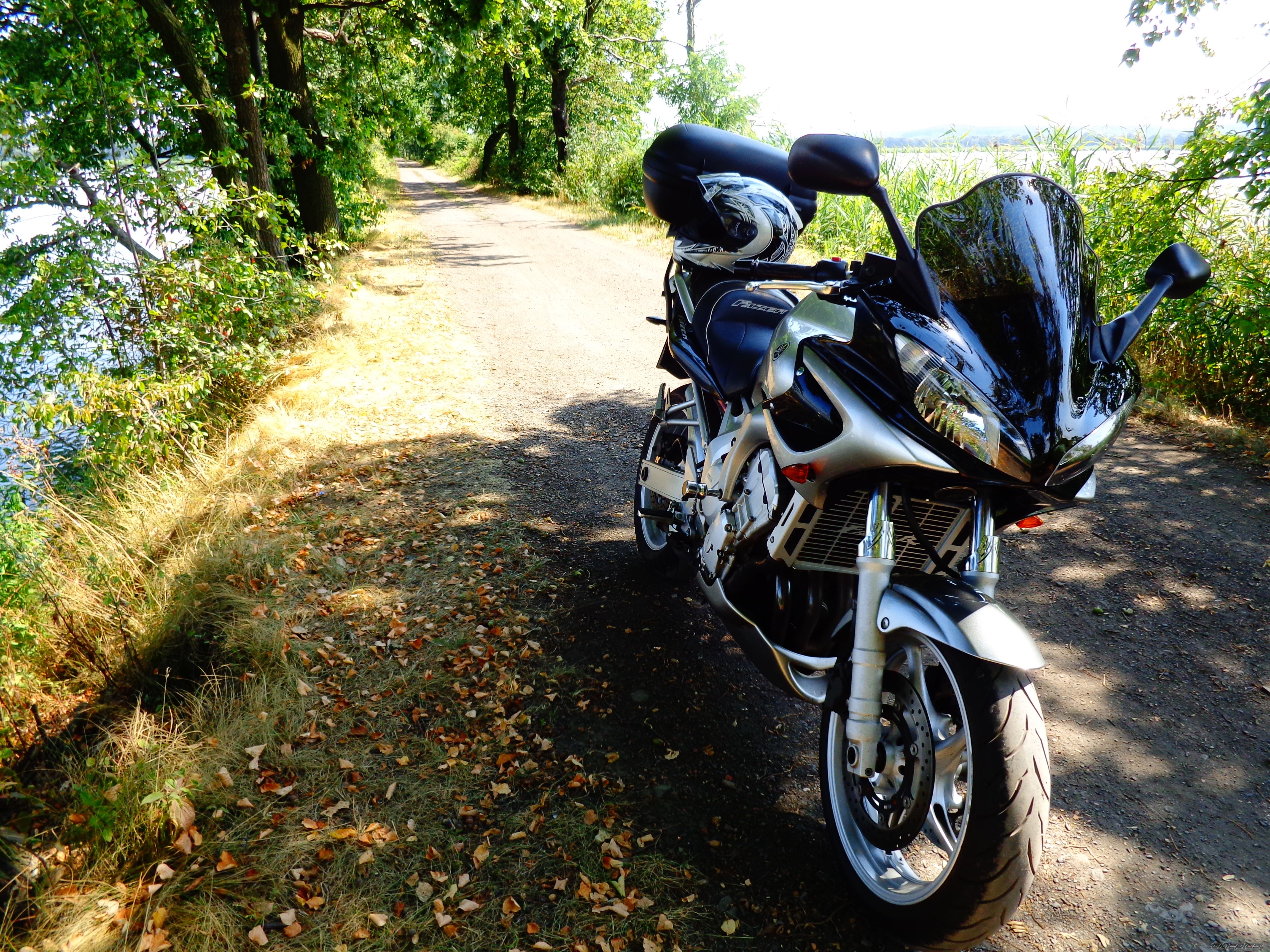 Photo 2588383