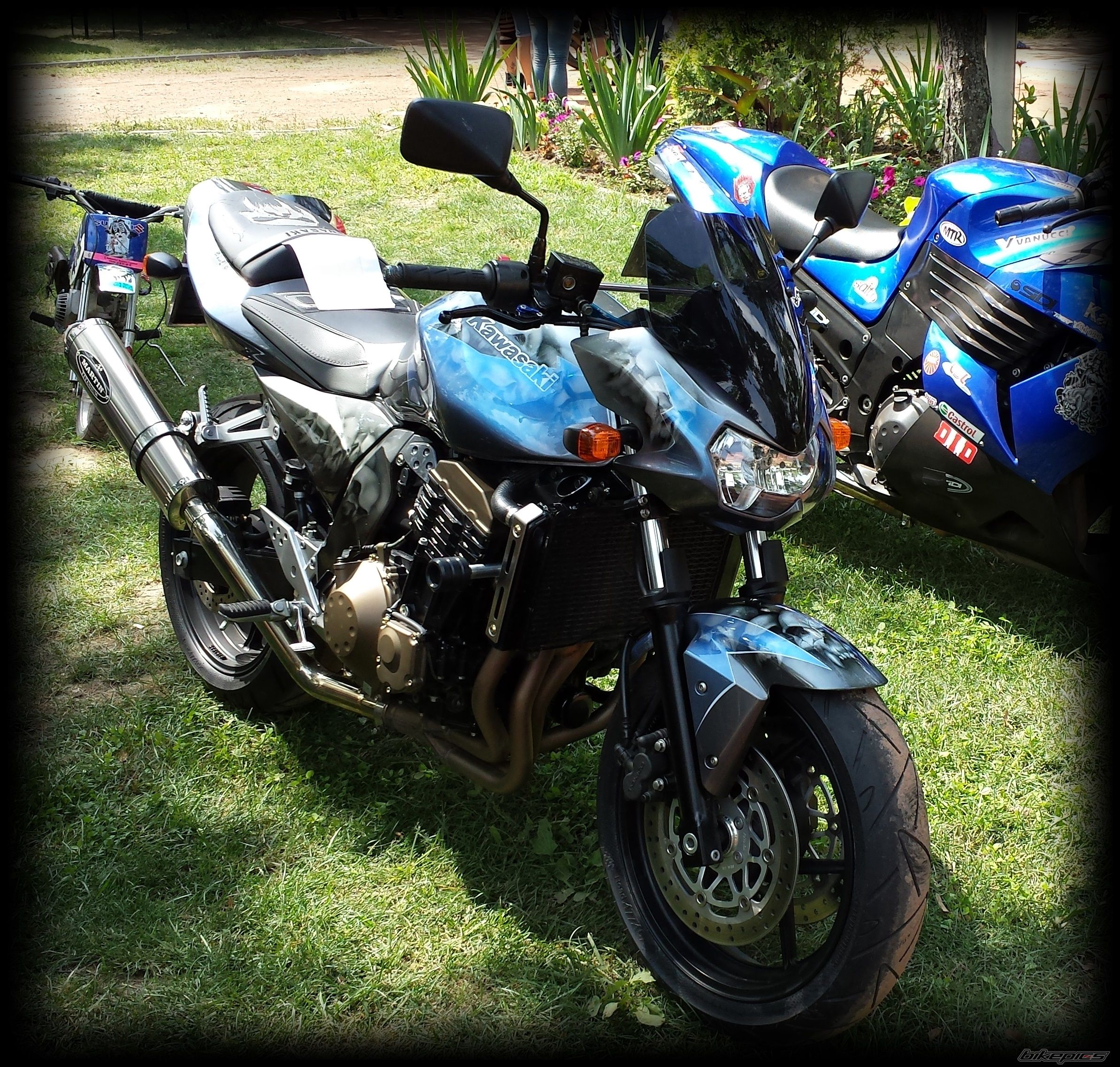 Photo 2588396