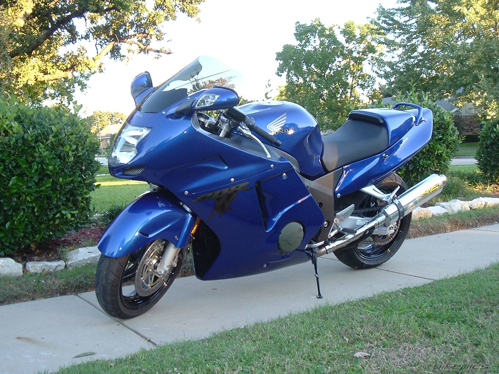 Photo 258854