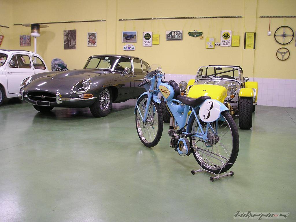 Photo 258857