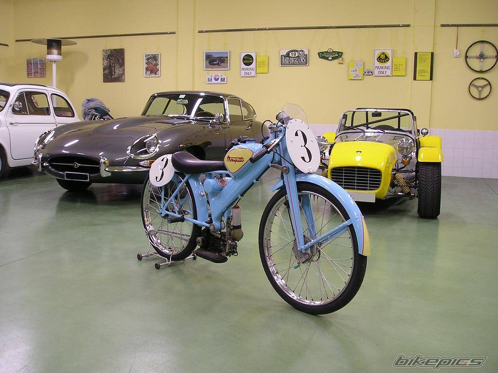 Photo 258859