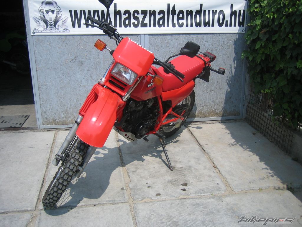 Photo 2588604