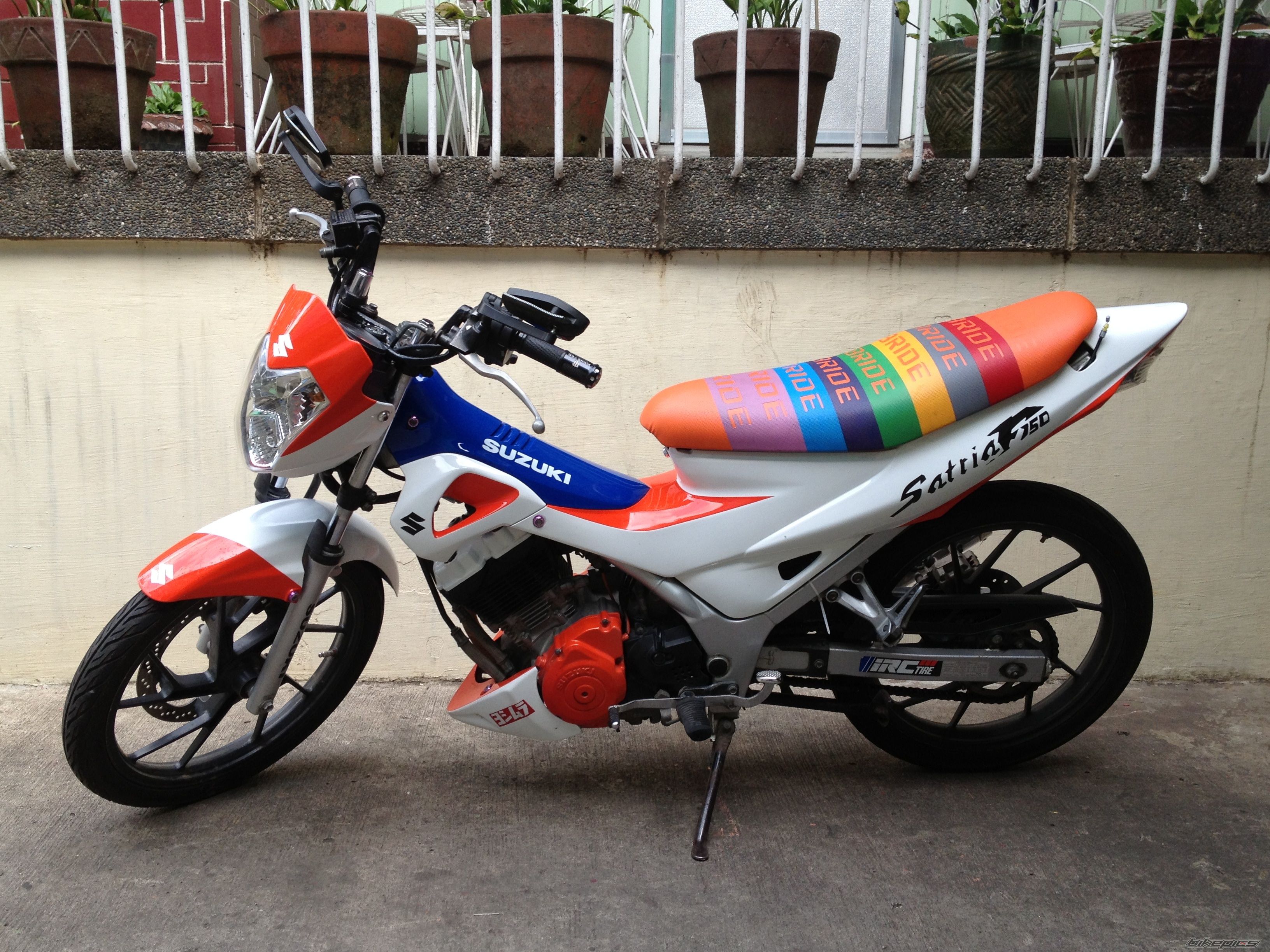 Photo 2588758