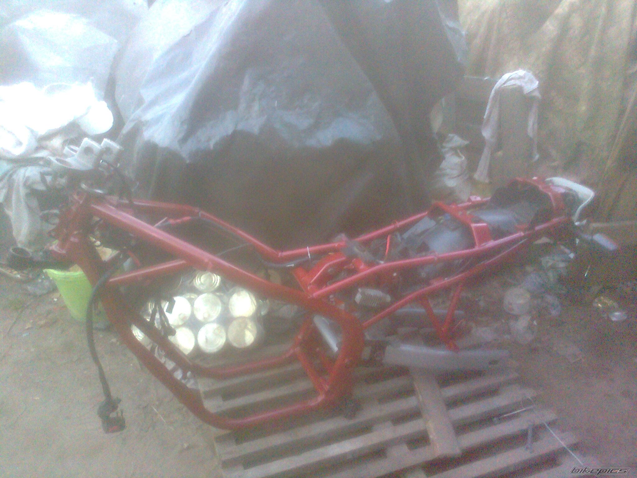 Photo 2588780