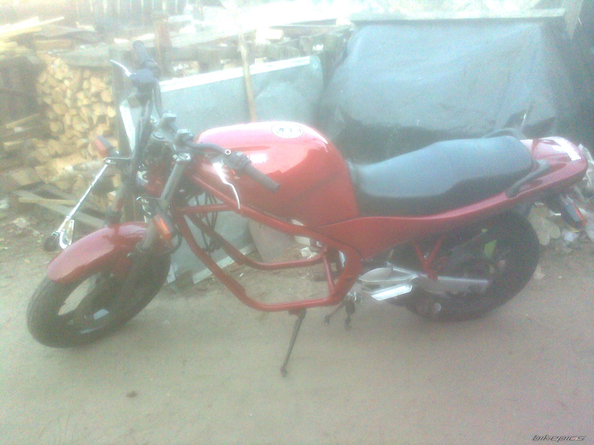 Photo 2588785