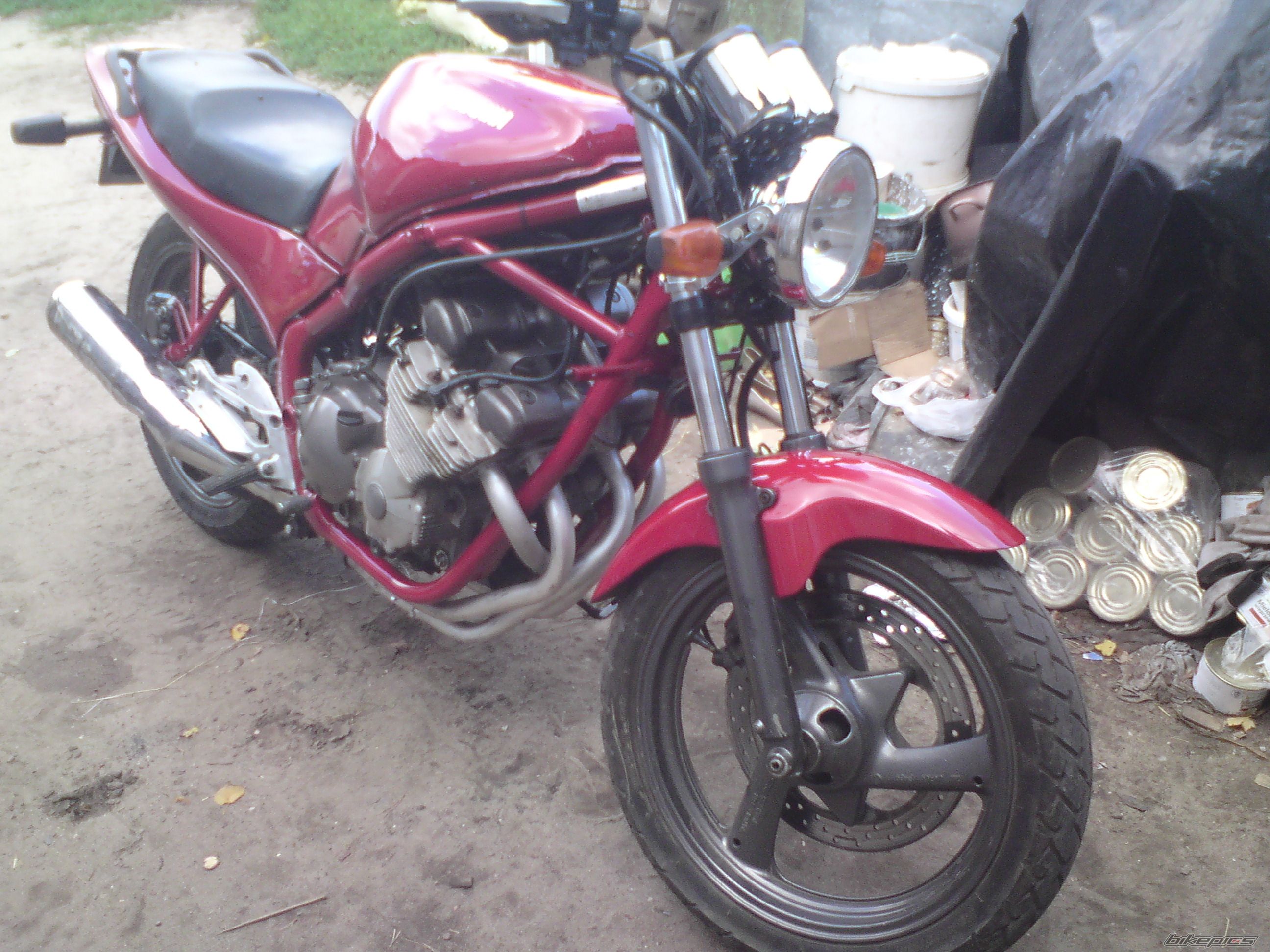 Photo 2588788