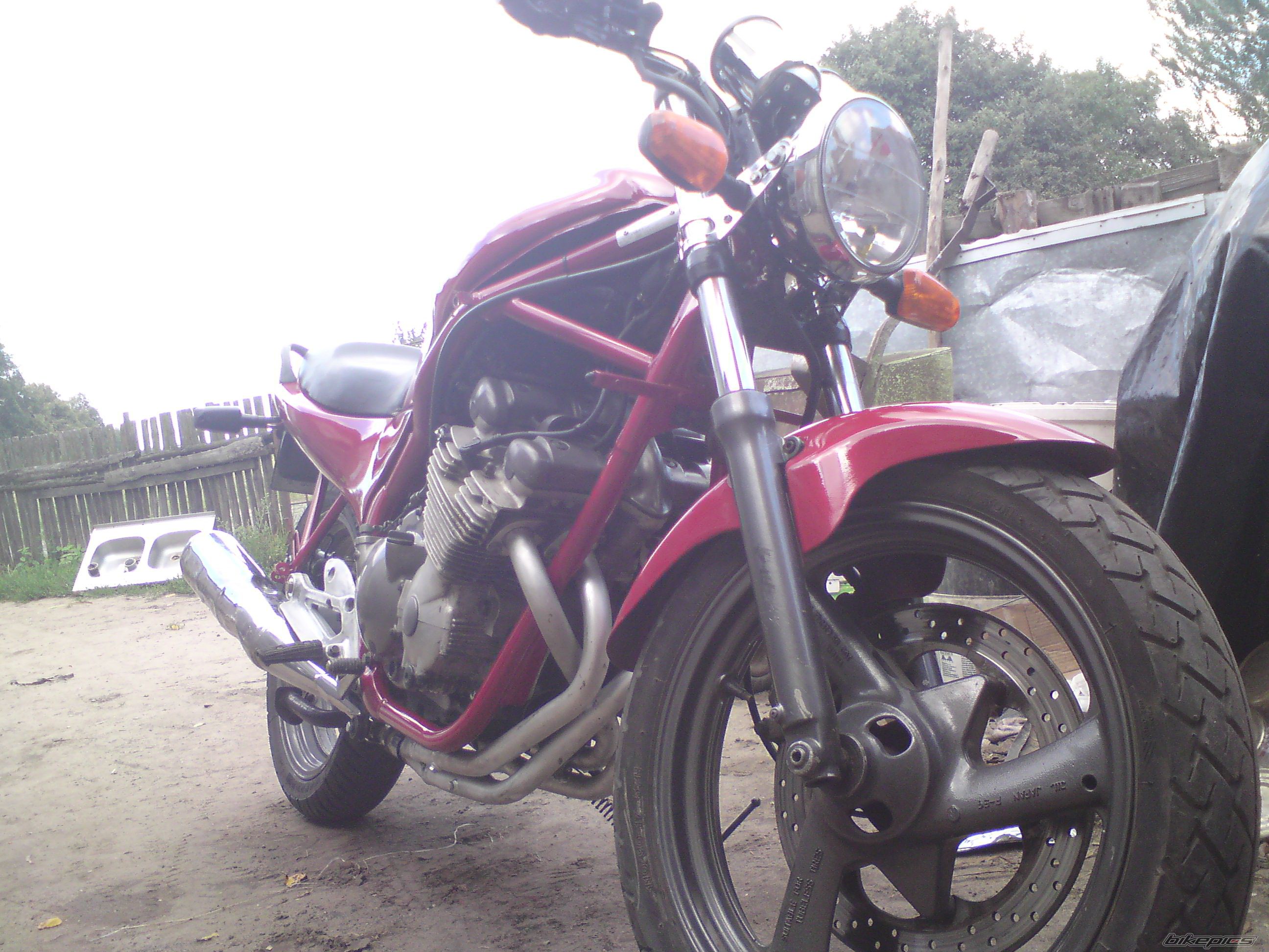 Photo 2588794