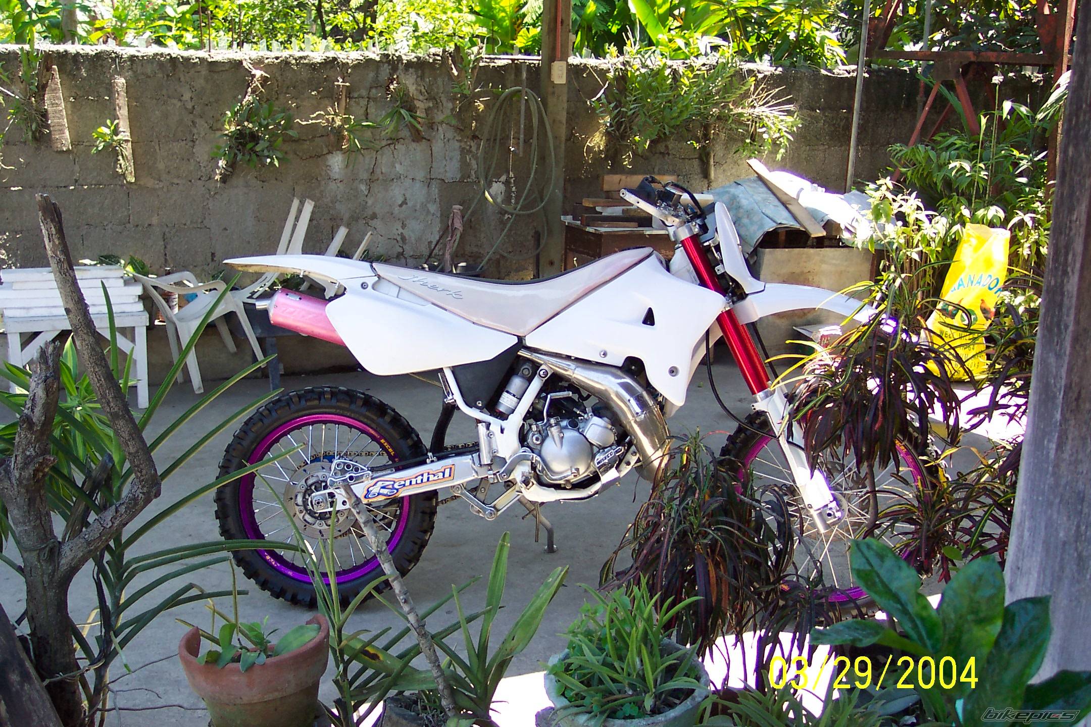 Photo 258882