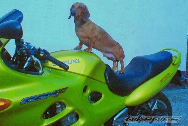 Bike Photo 2588914