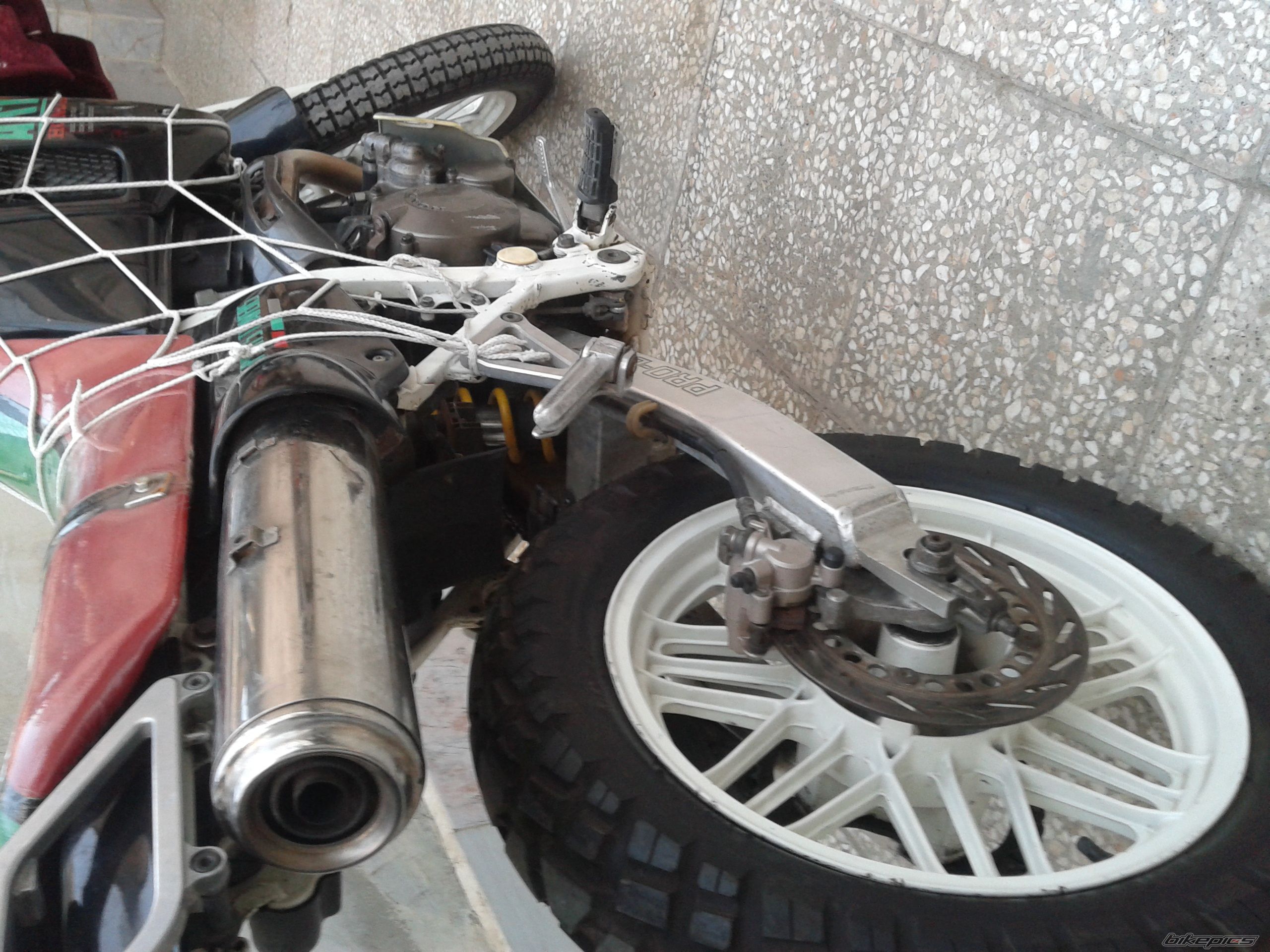 Photo 2588956