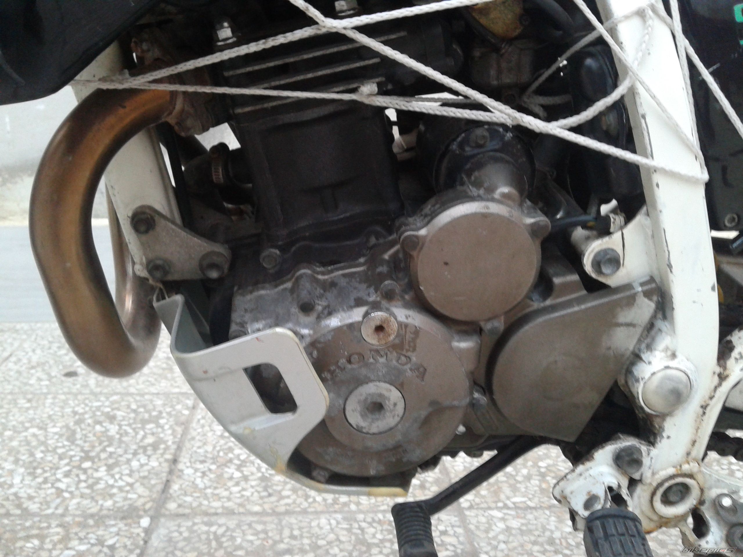 Photo 2588967