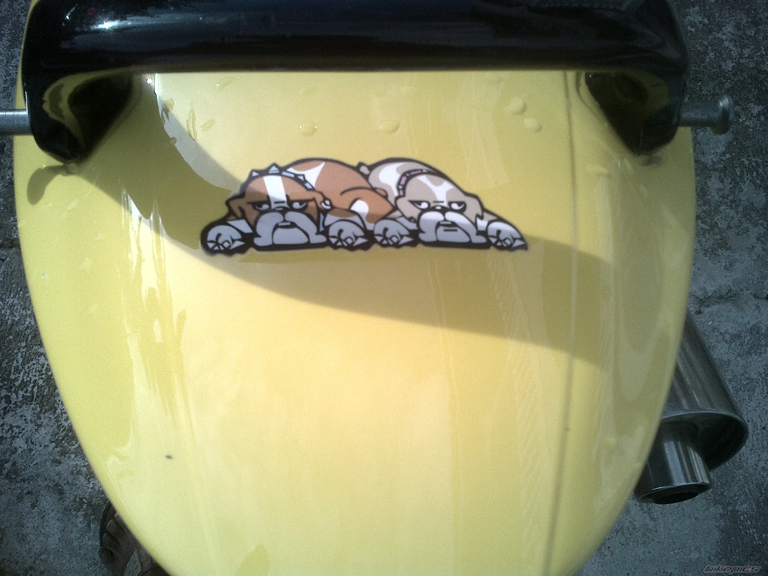 Photo 2588994