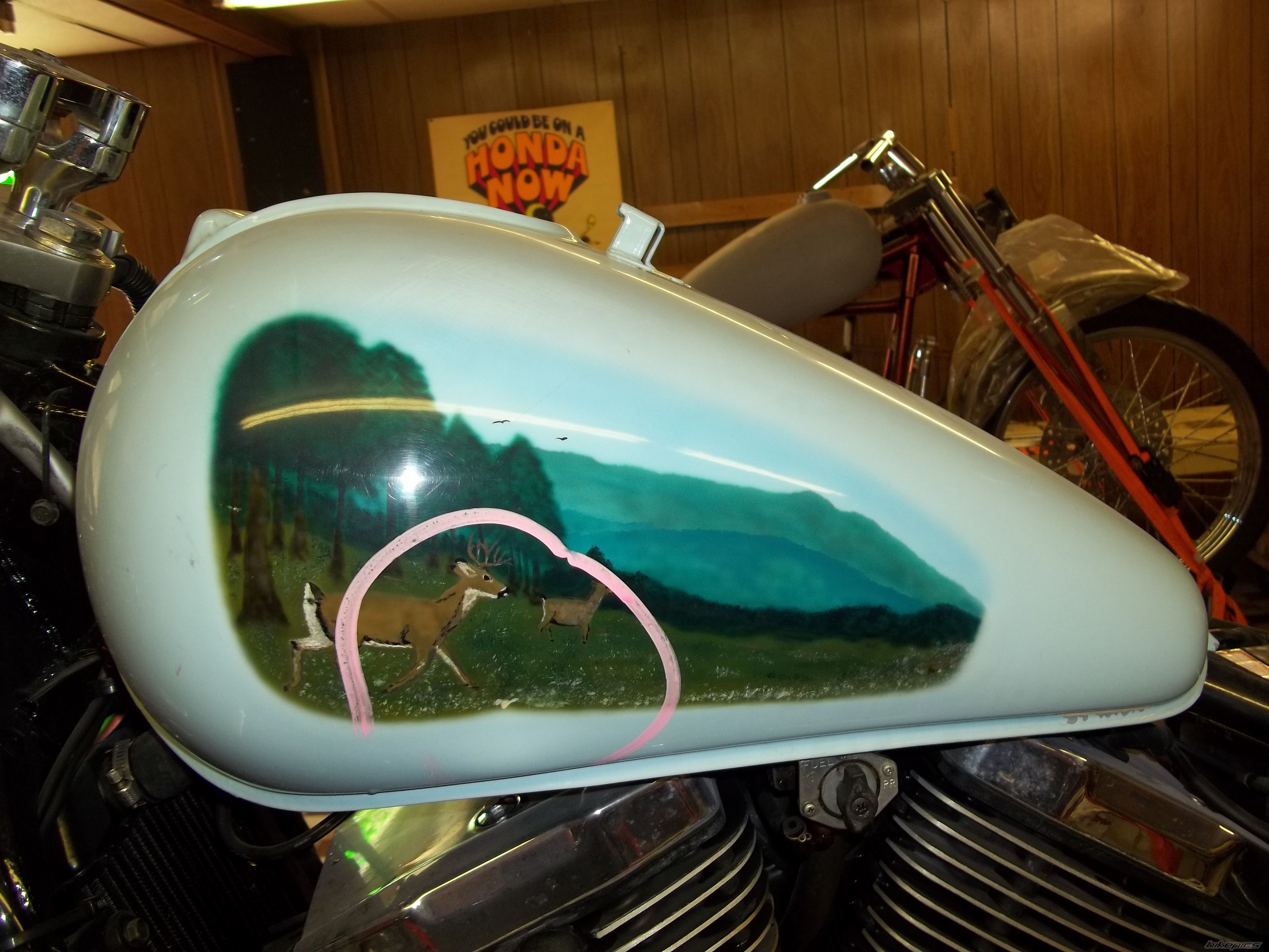 Bike Photo 2589040