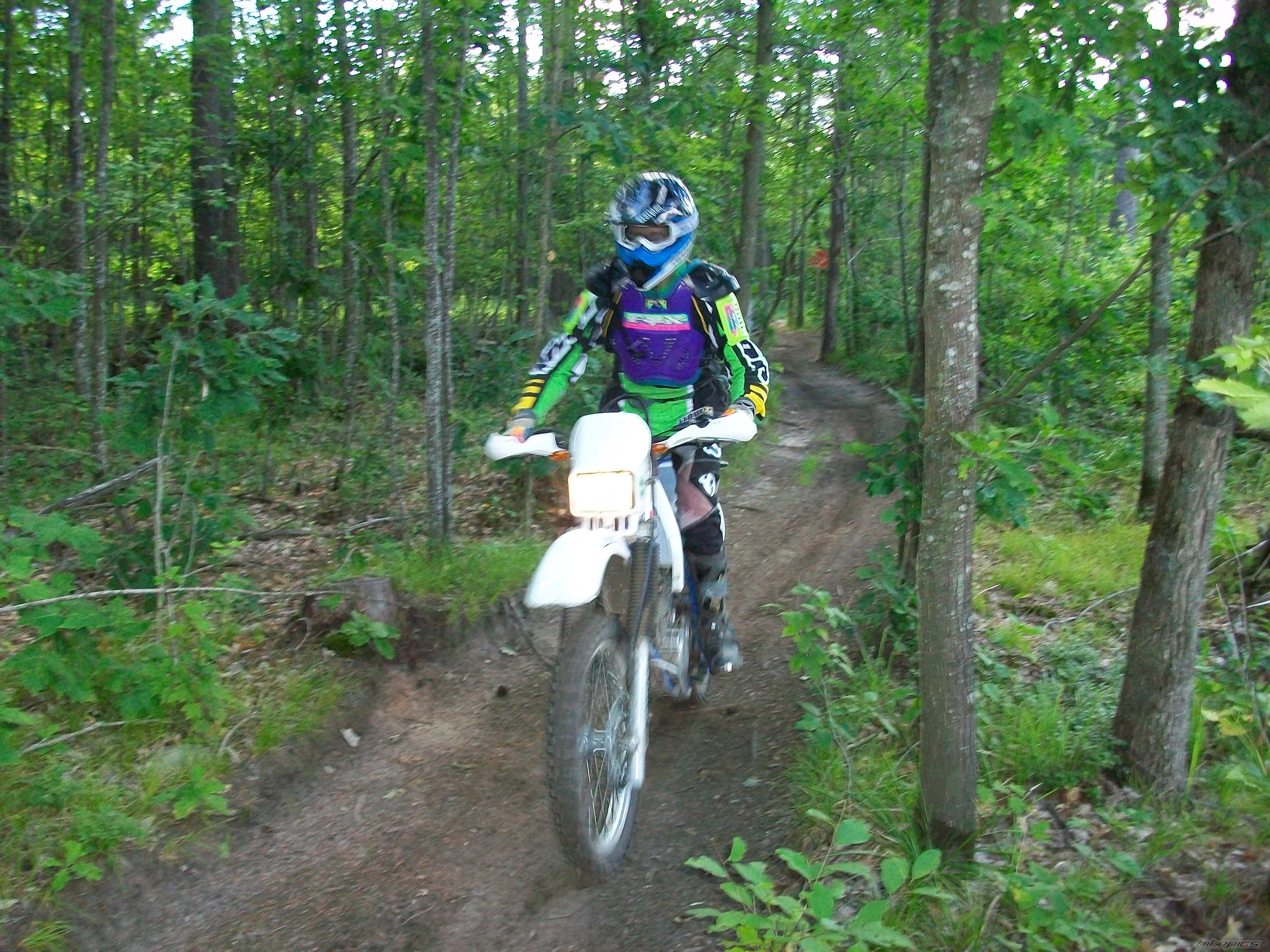 Photo 2589045