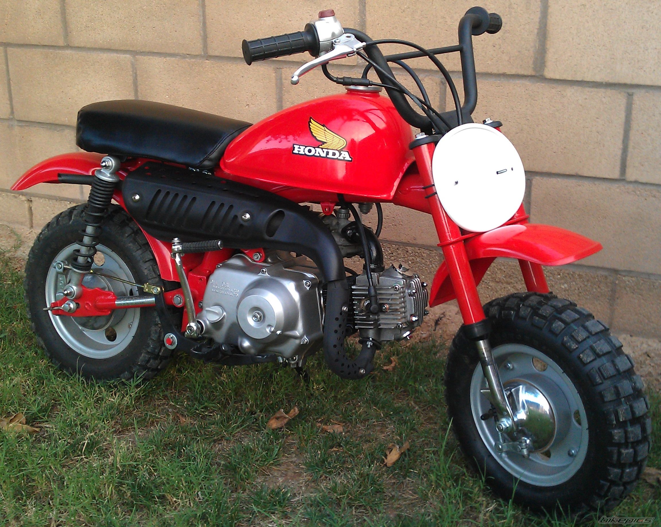 Photo 2589049