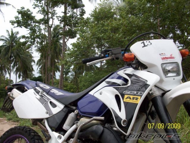 Photo 2589075