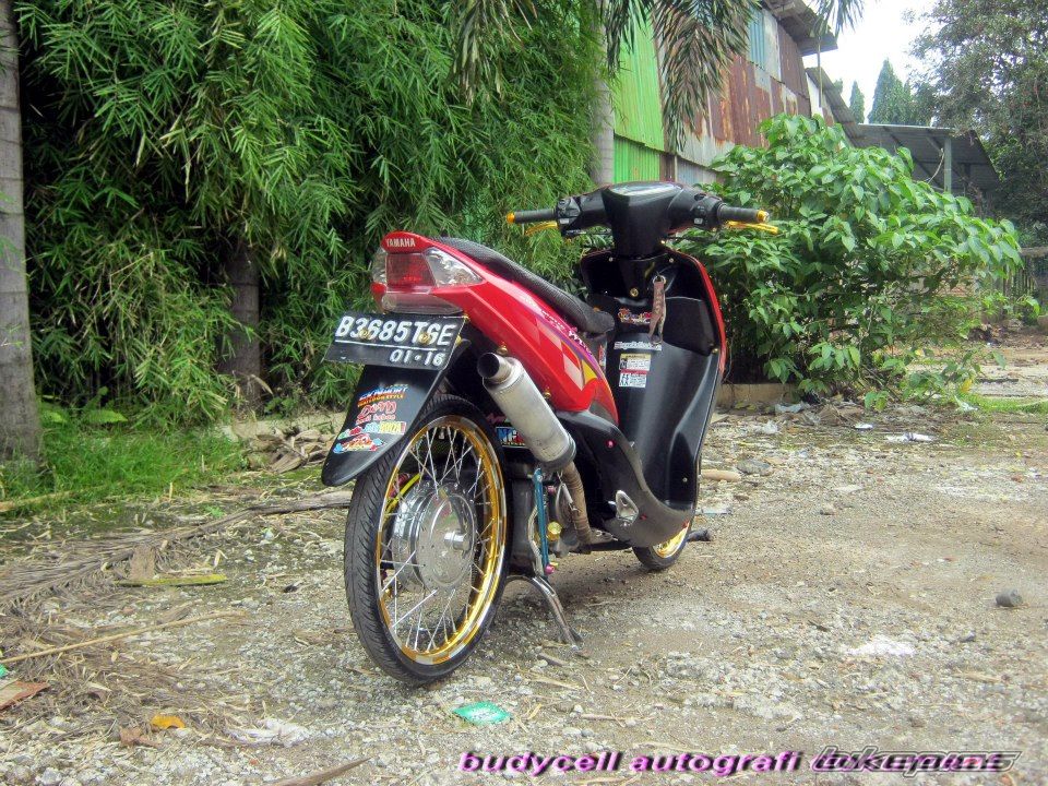 Photo 2589085