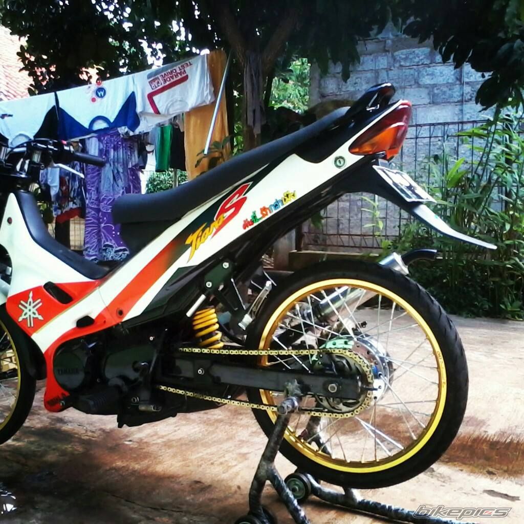 Photo 2589101