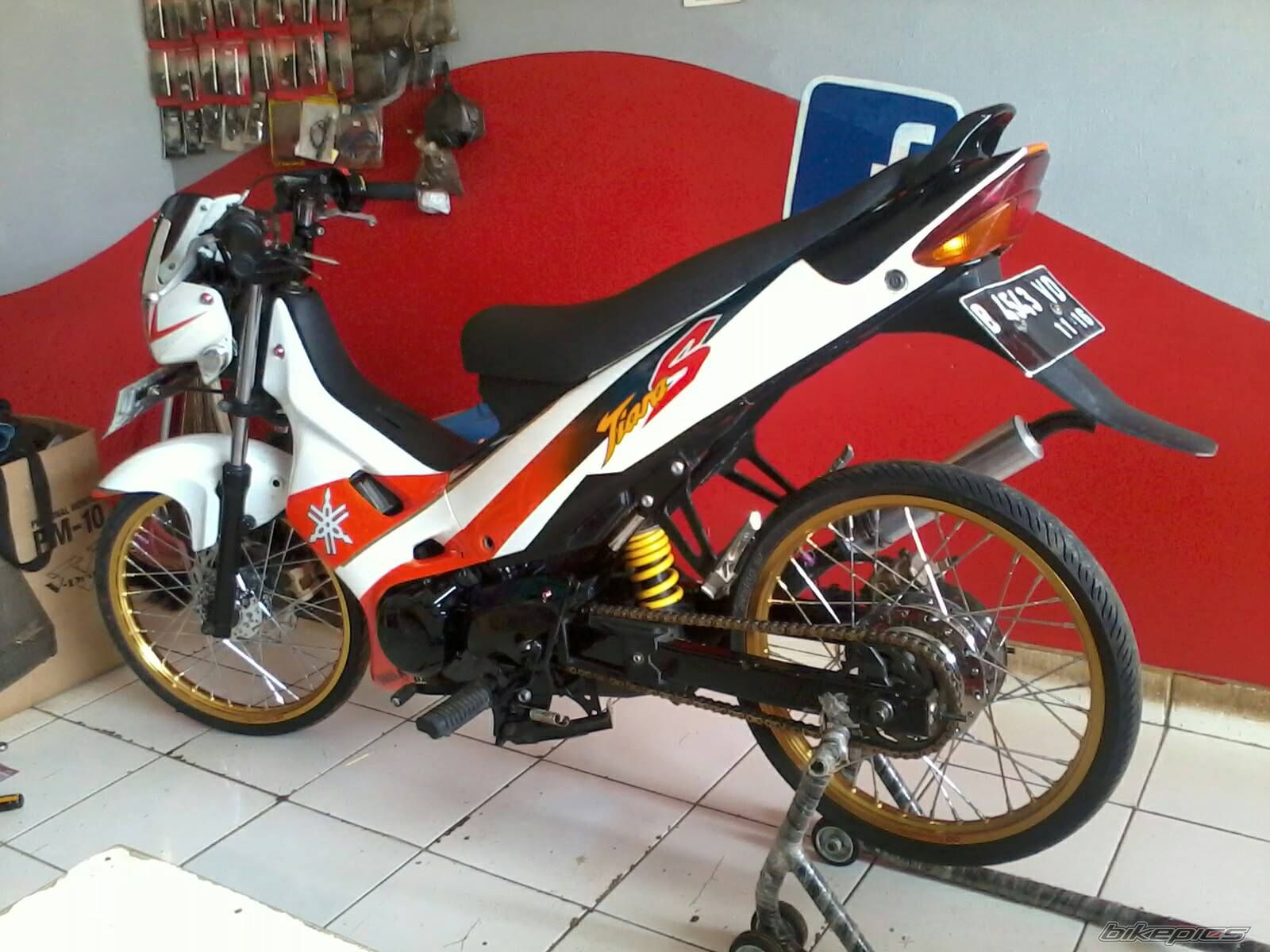 Photo 2589106