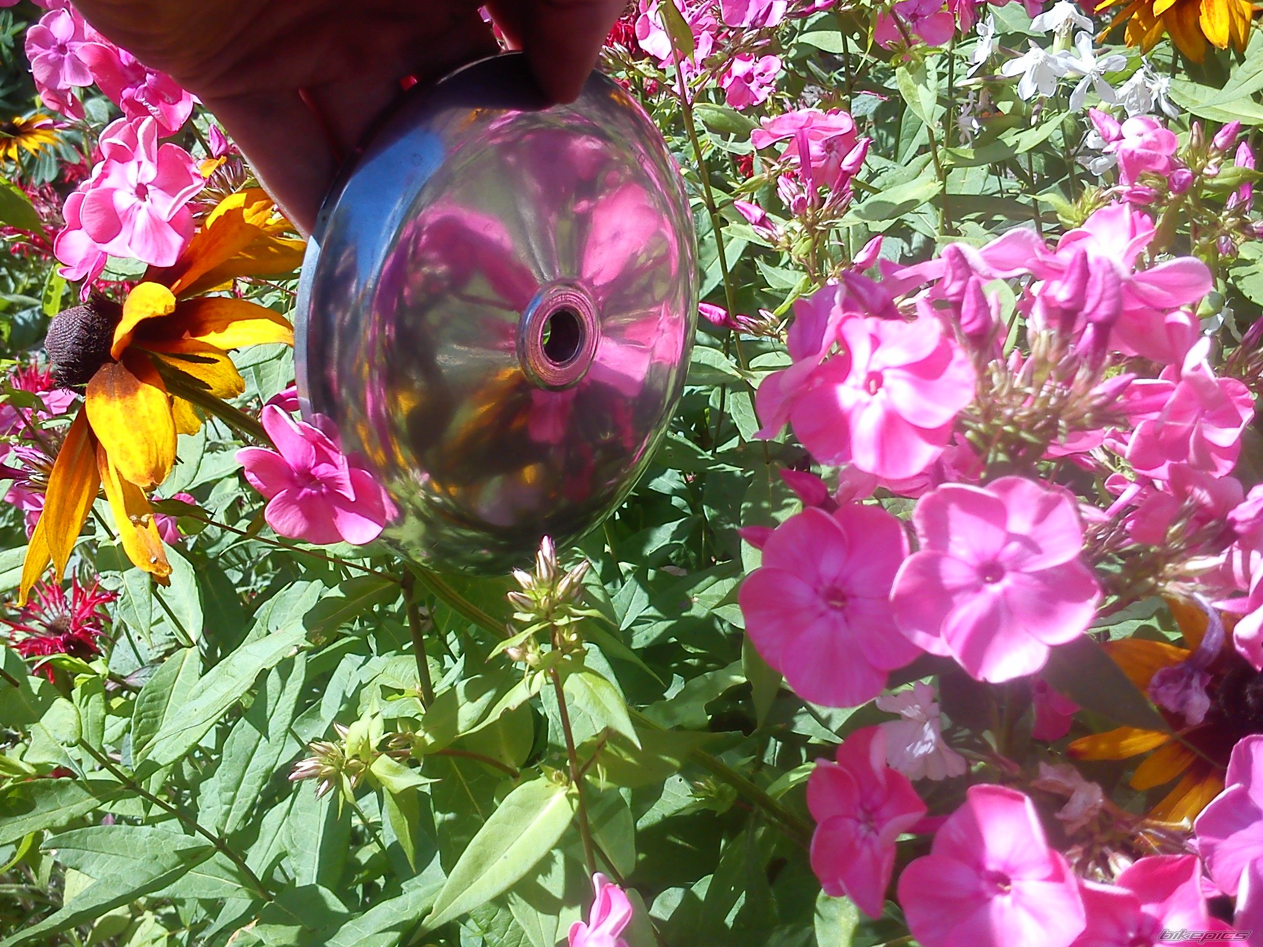Photo 2589152