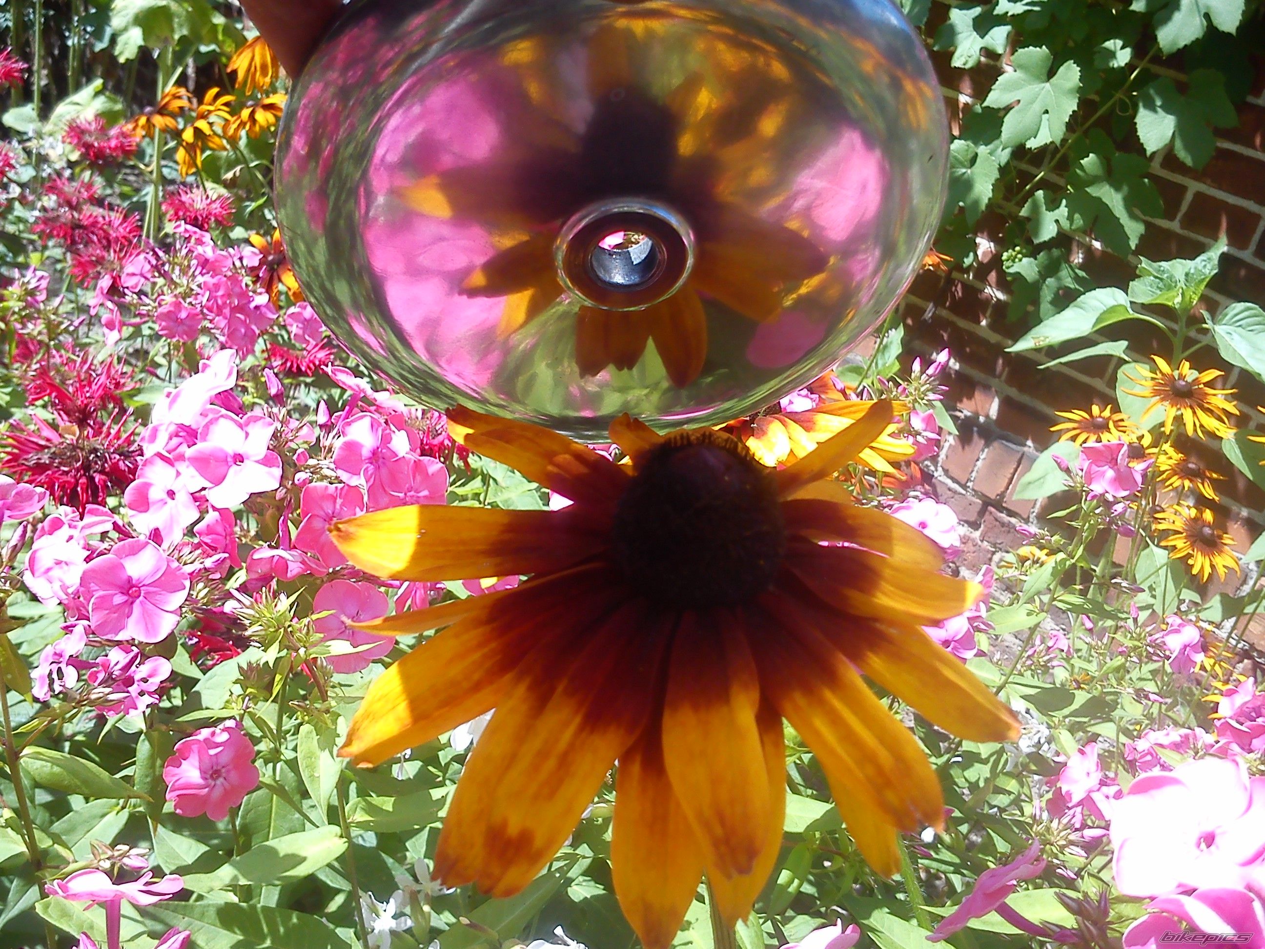 Photo 2589153