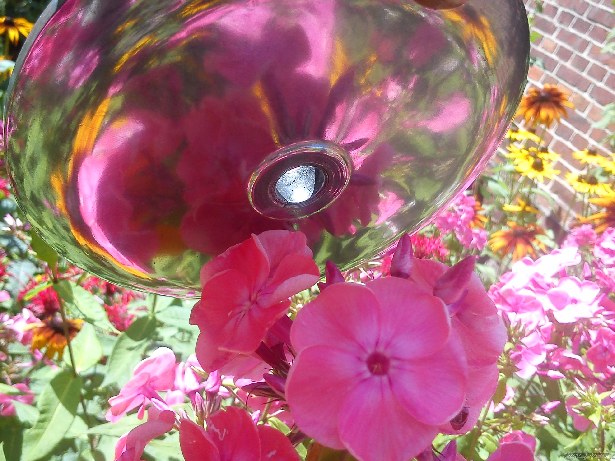 Photo 2589154