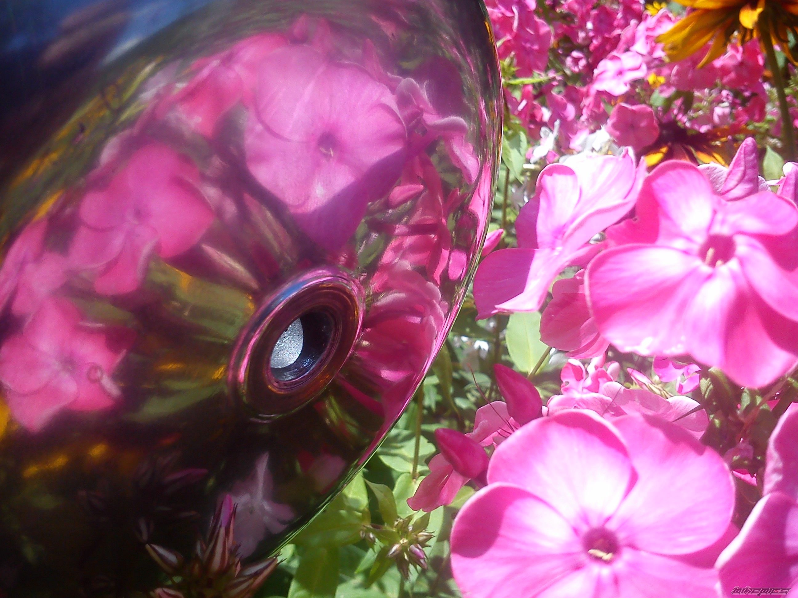 Photo 2589155