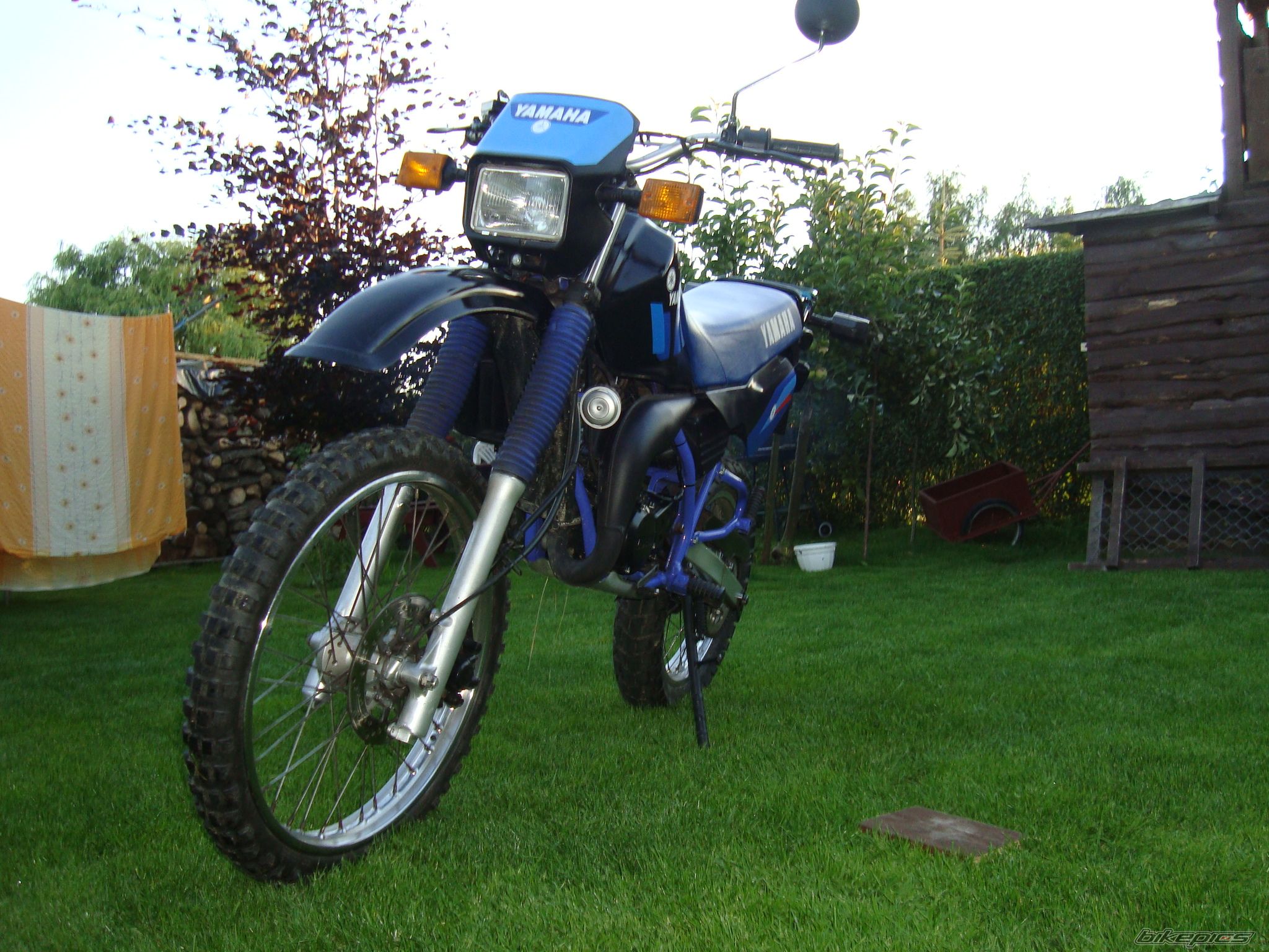 Photo 2589247