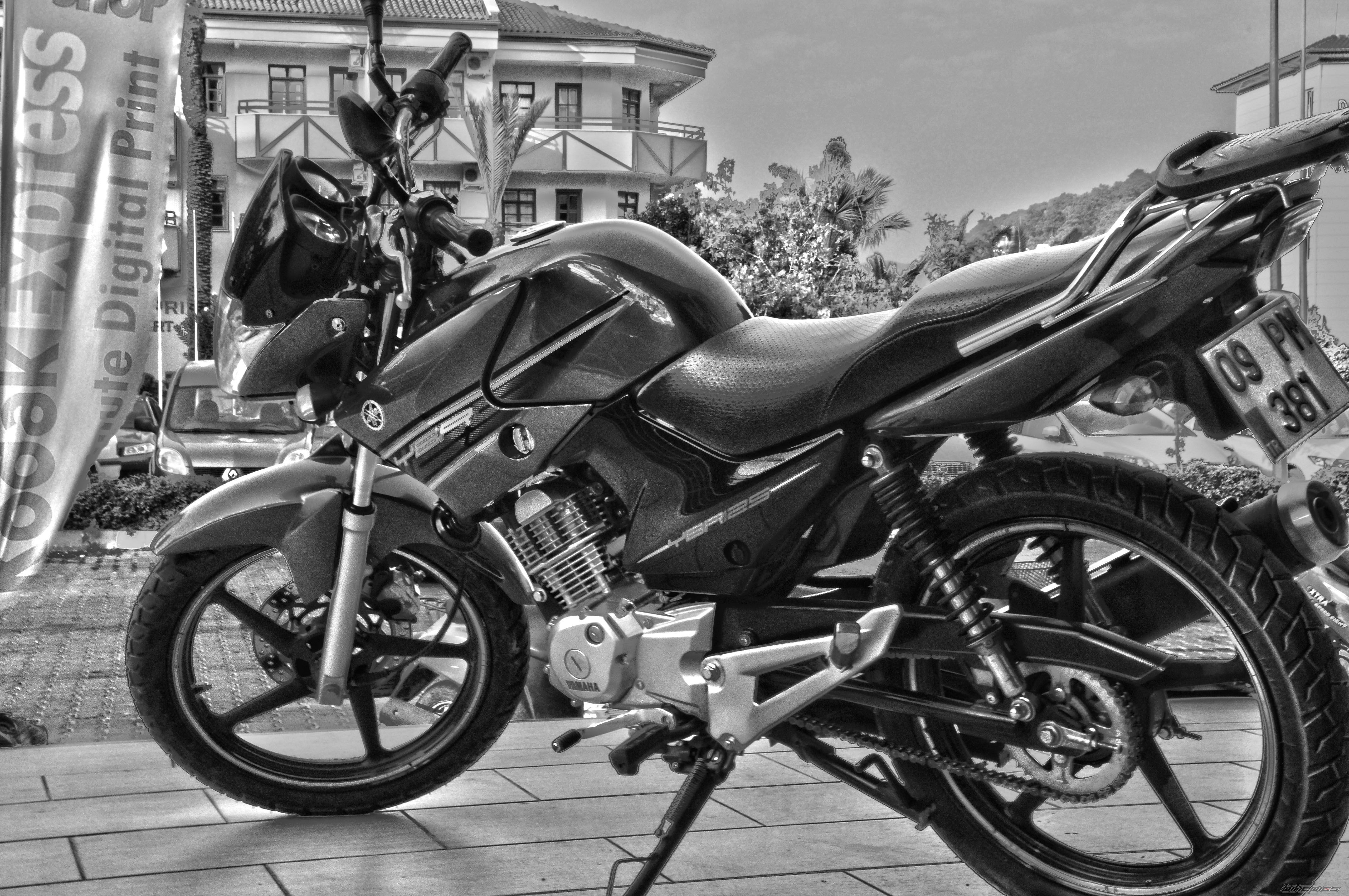 Photo 2589260