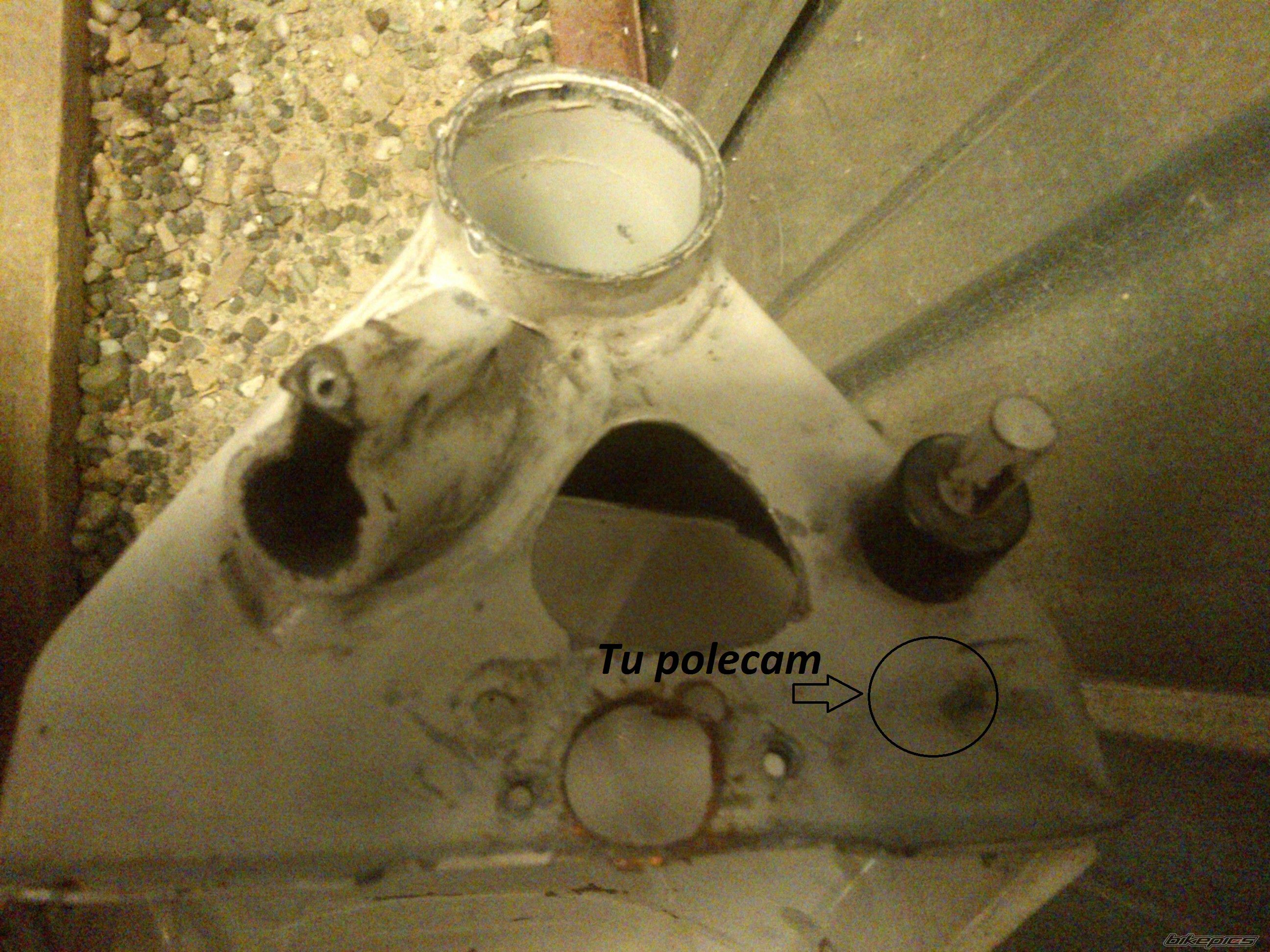Photo 2589284