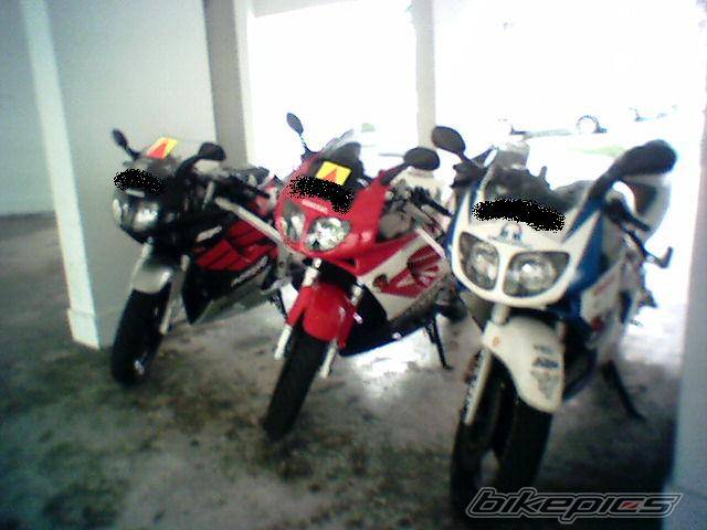 Photo 258931