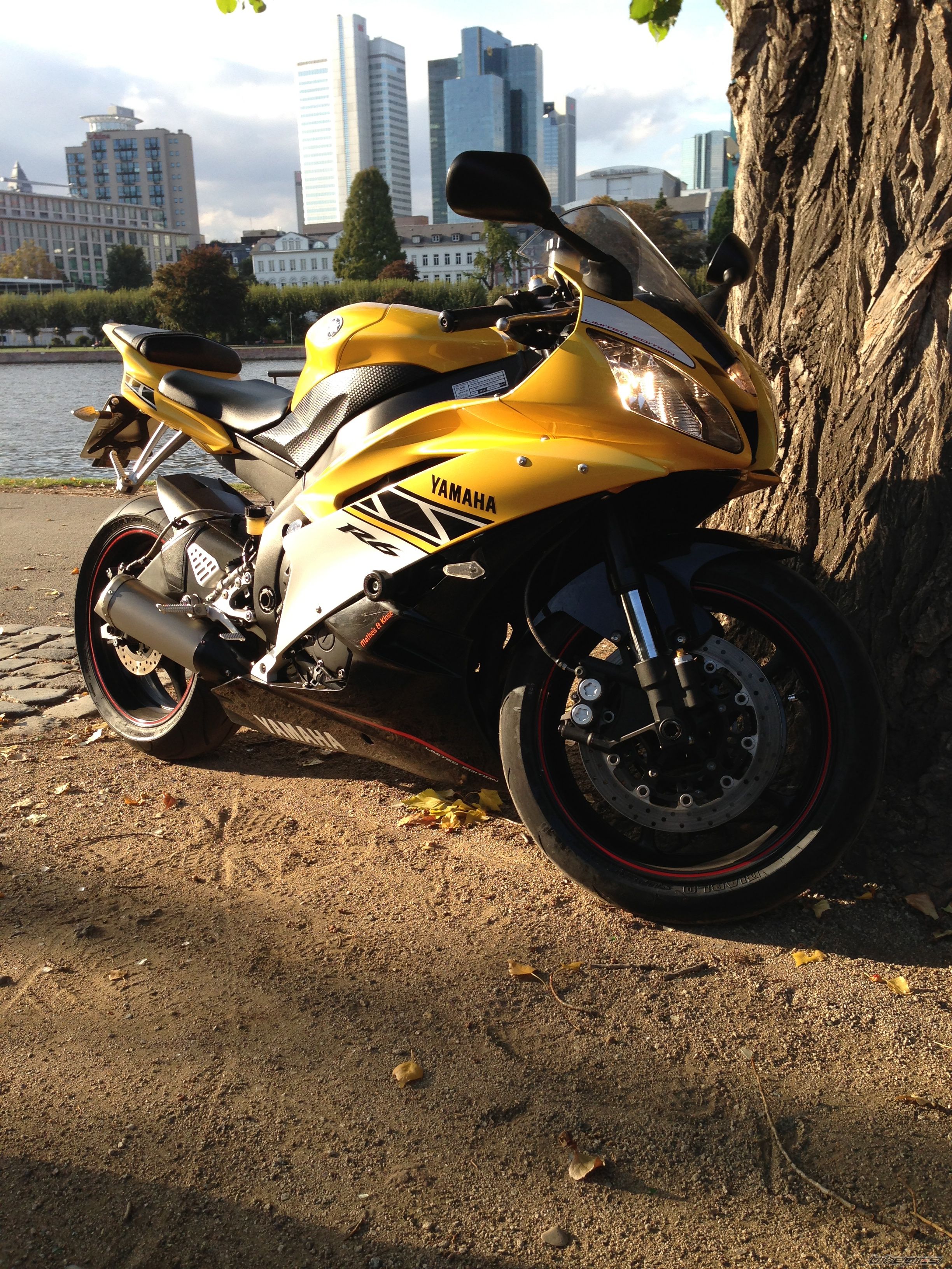 Photo 2589310