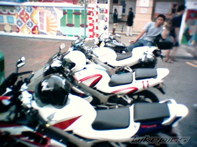 Photo 258932