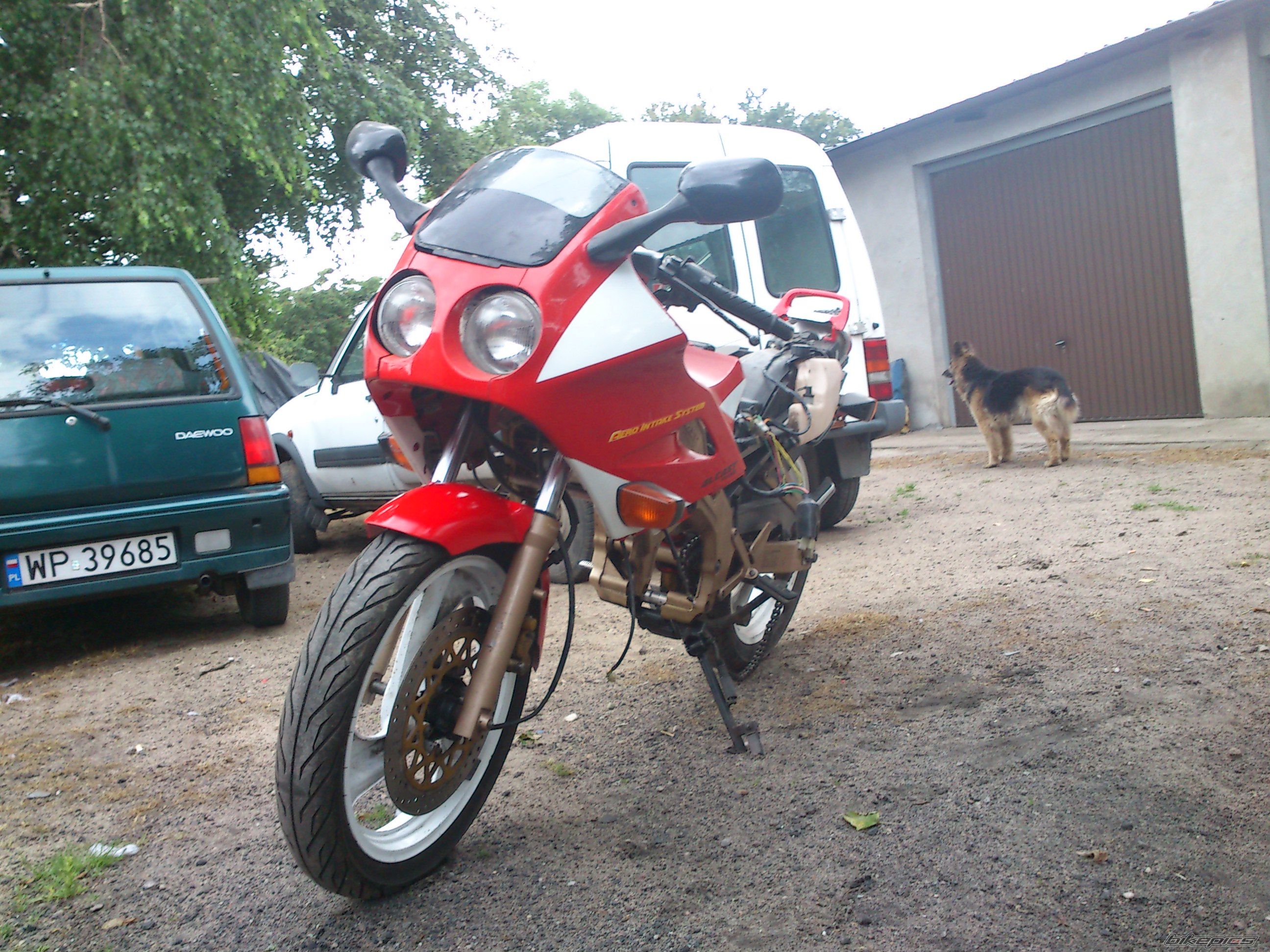 Photo 2589392