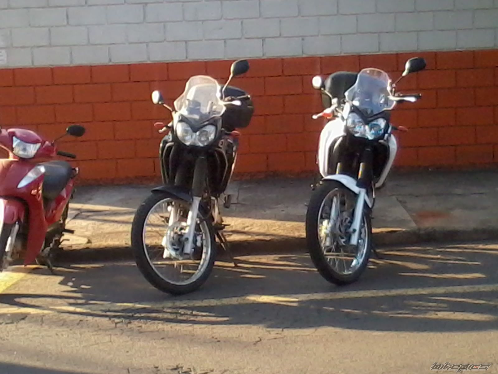 Photo 2589435