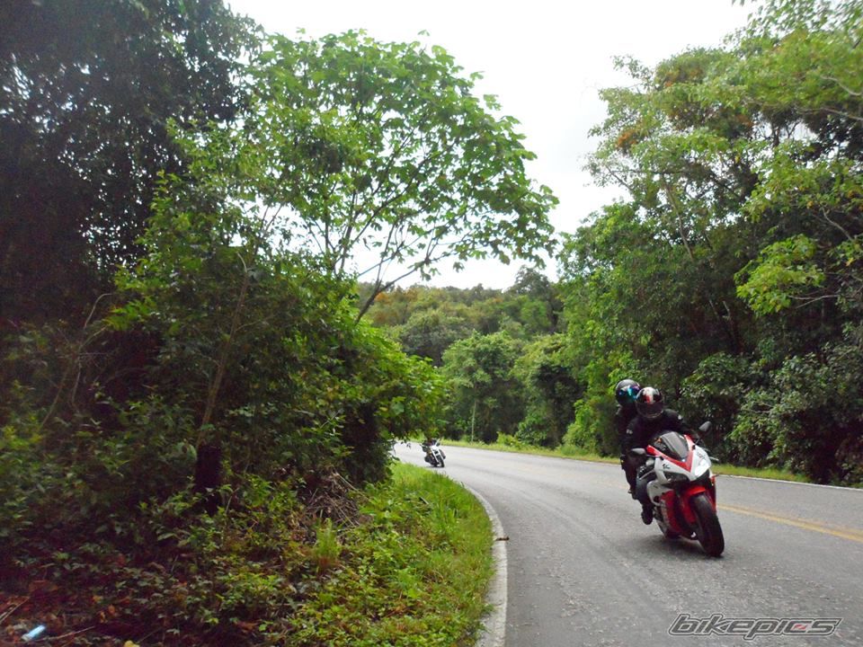 Photo 2589449