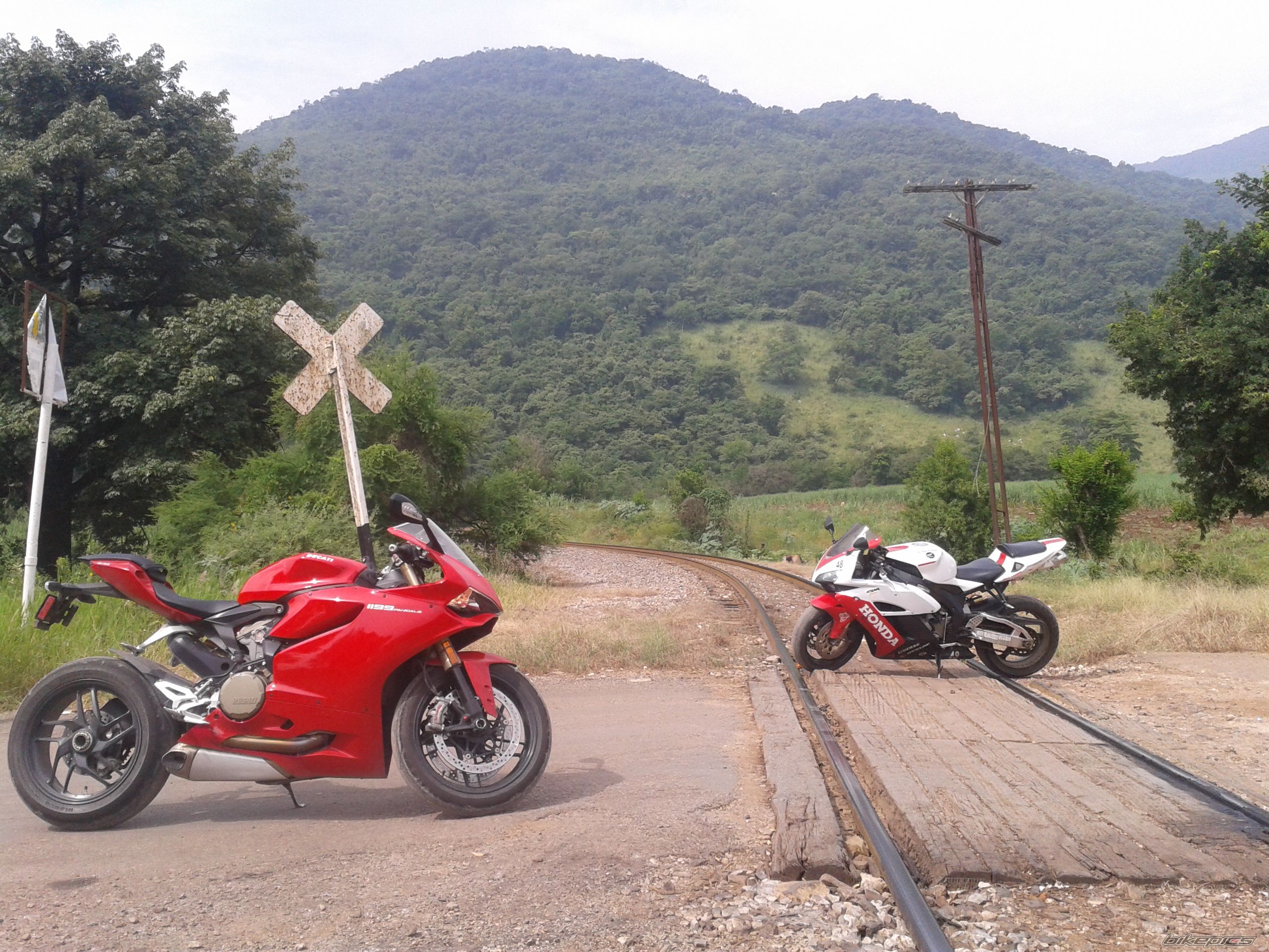 Photo 2589451