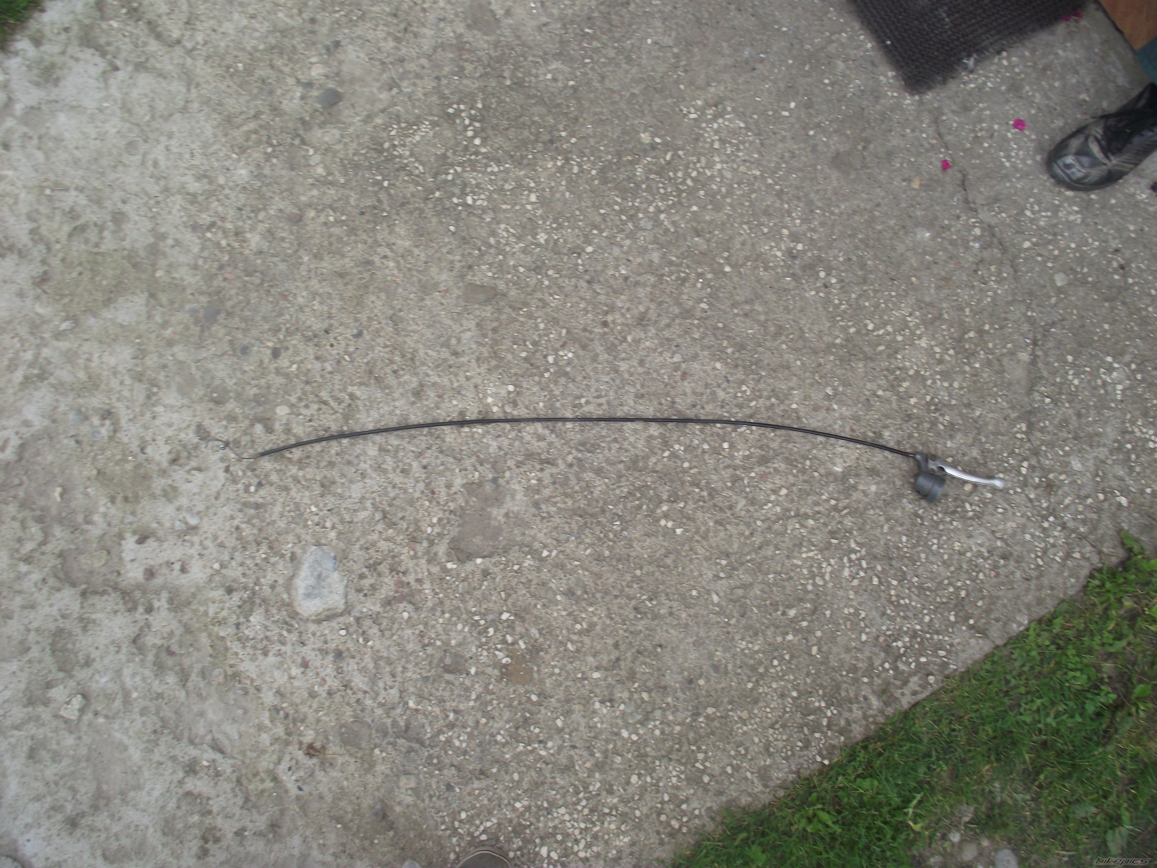 Photo 2589504