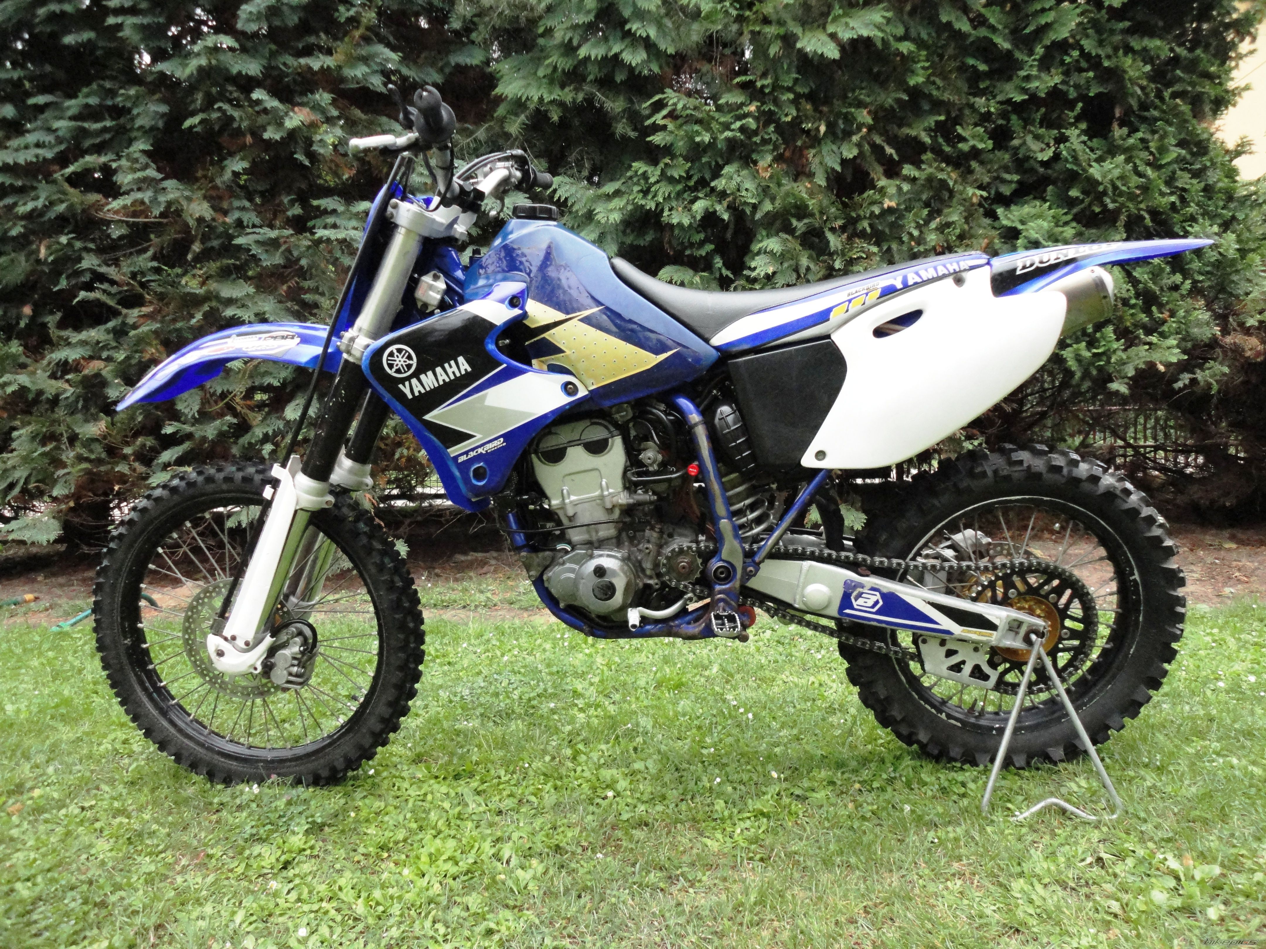 Photo 2589511