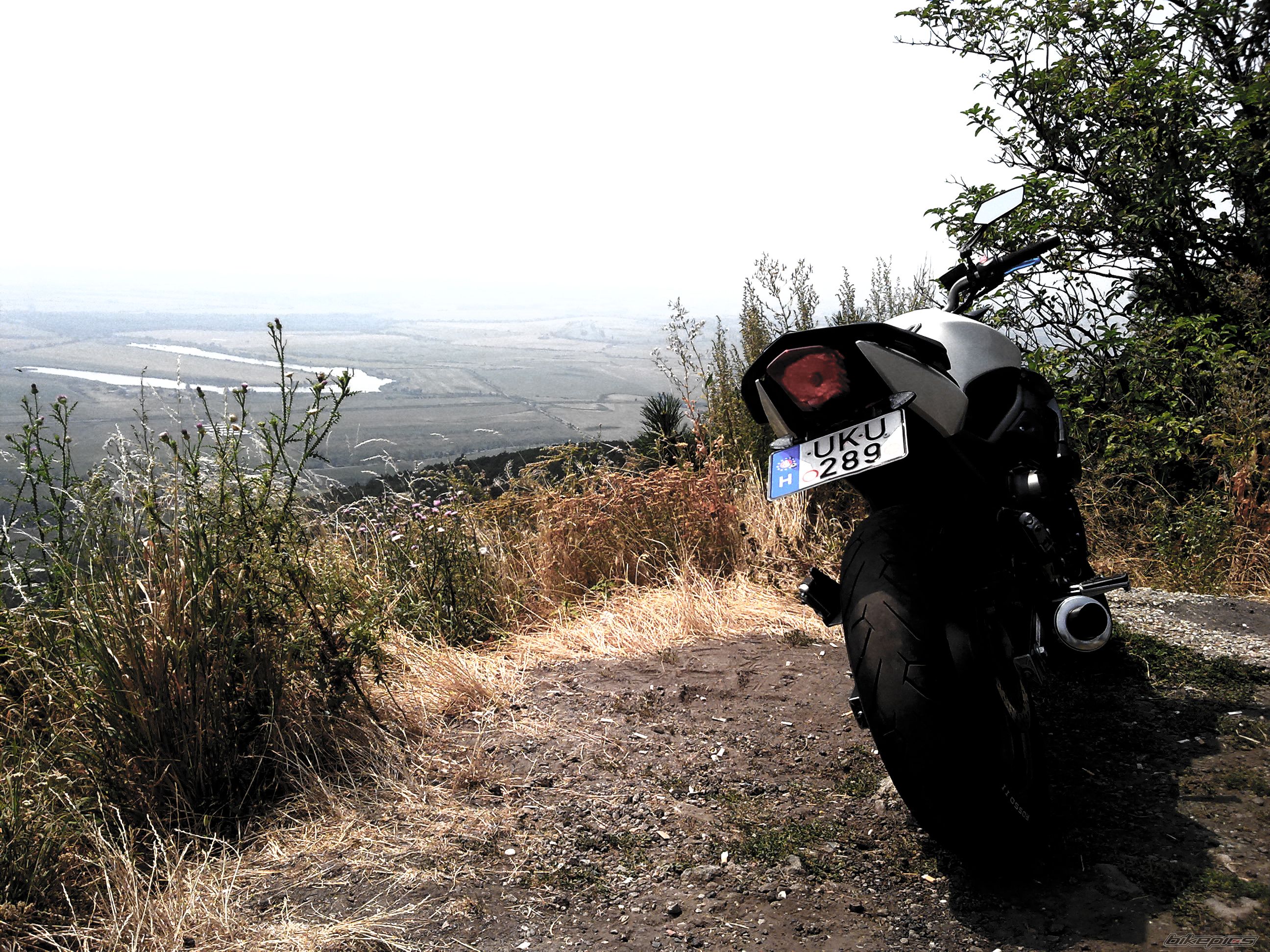 Photo 2589553