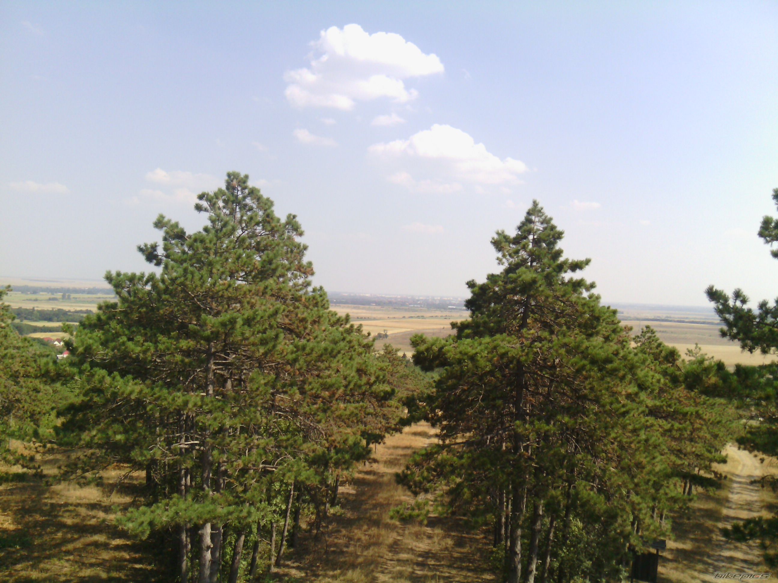 Photo 2589616