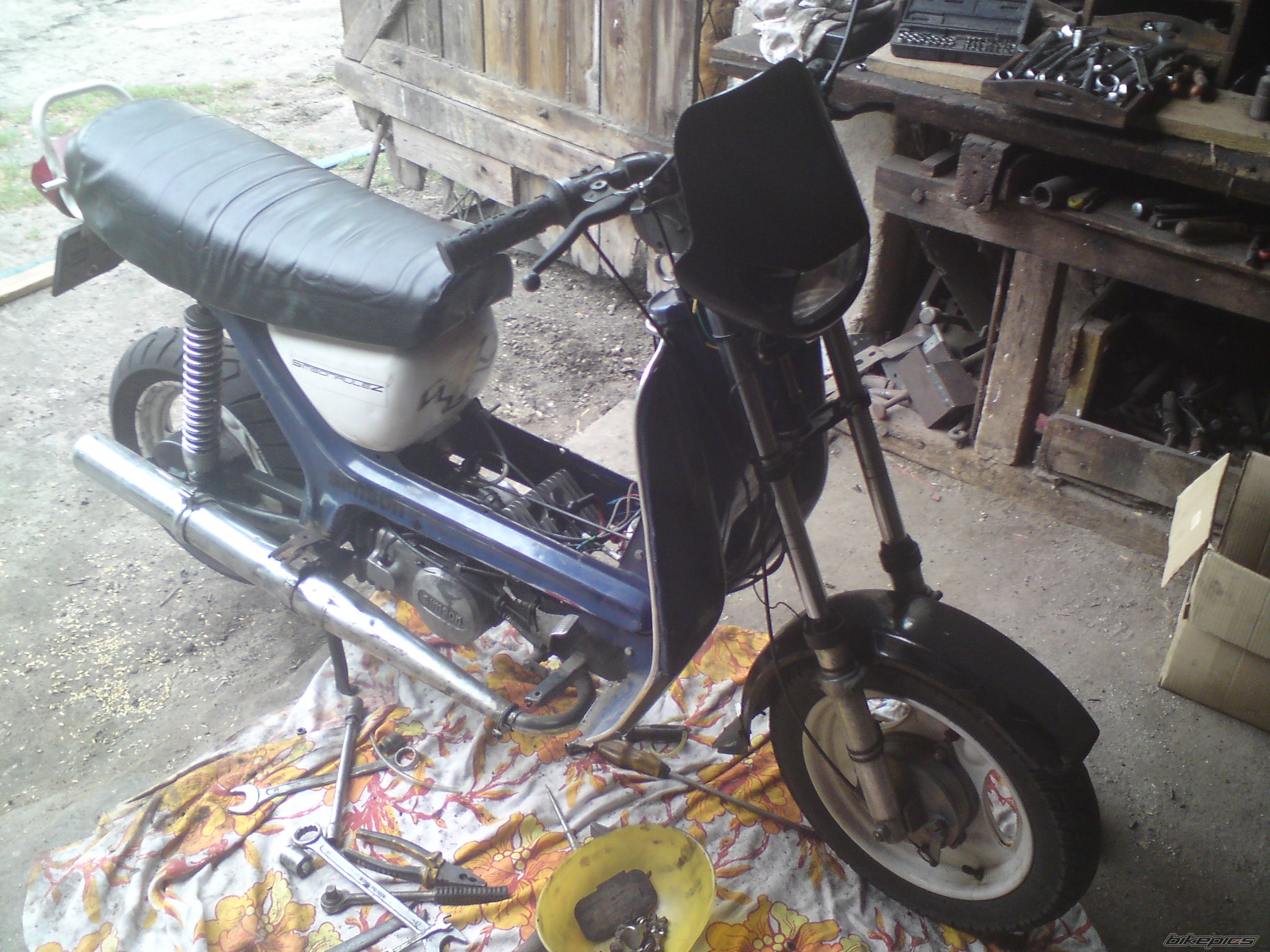 Photo 2589688